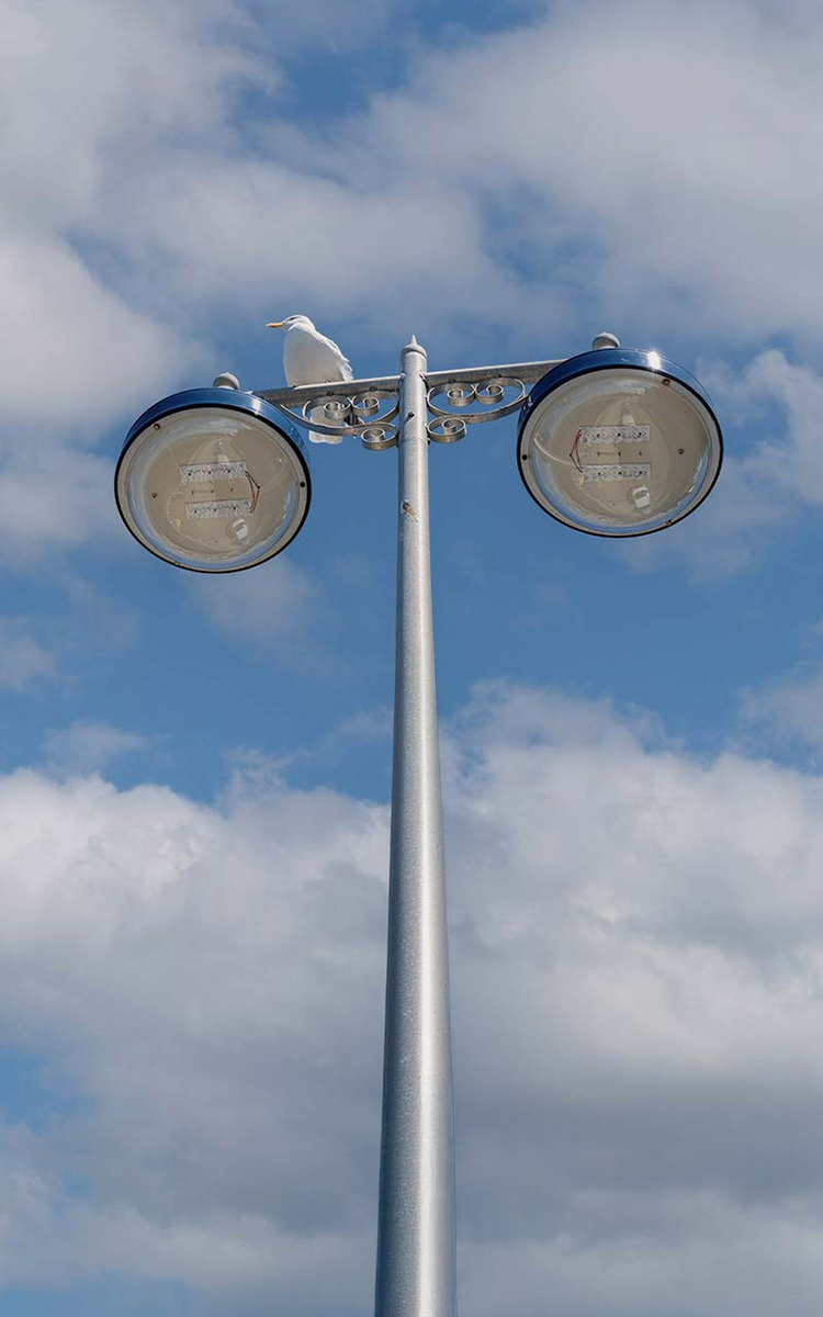 "Hey, you up there!" by Jan Evans