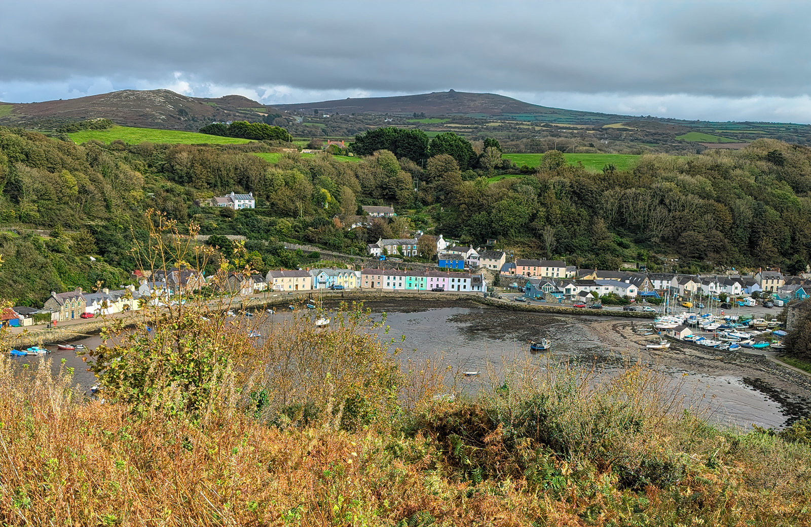 "Lower Fishguard" by Mike Jones