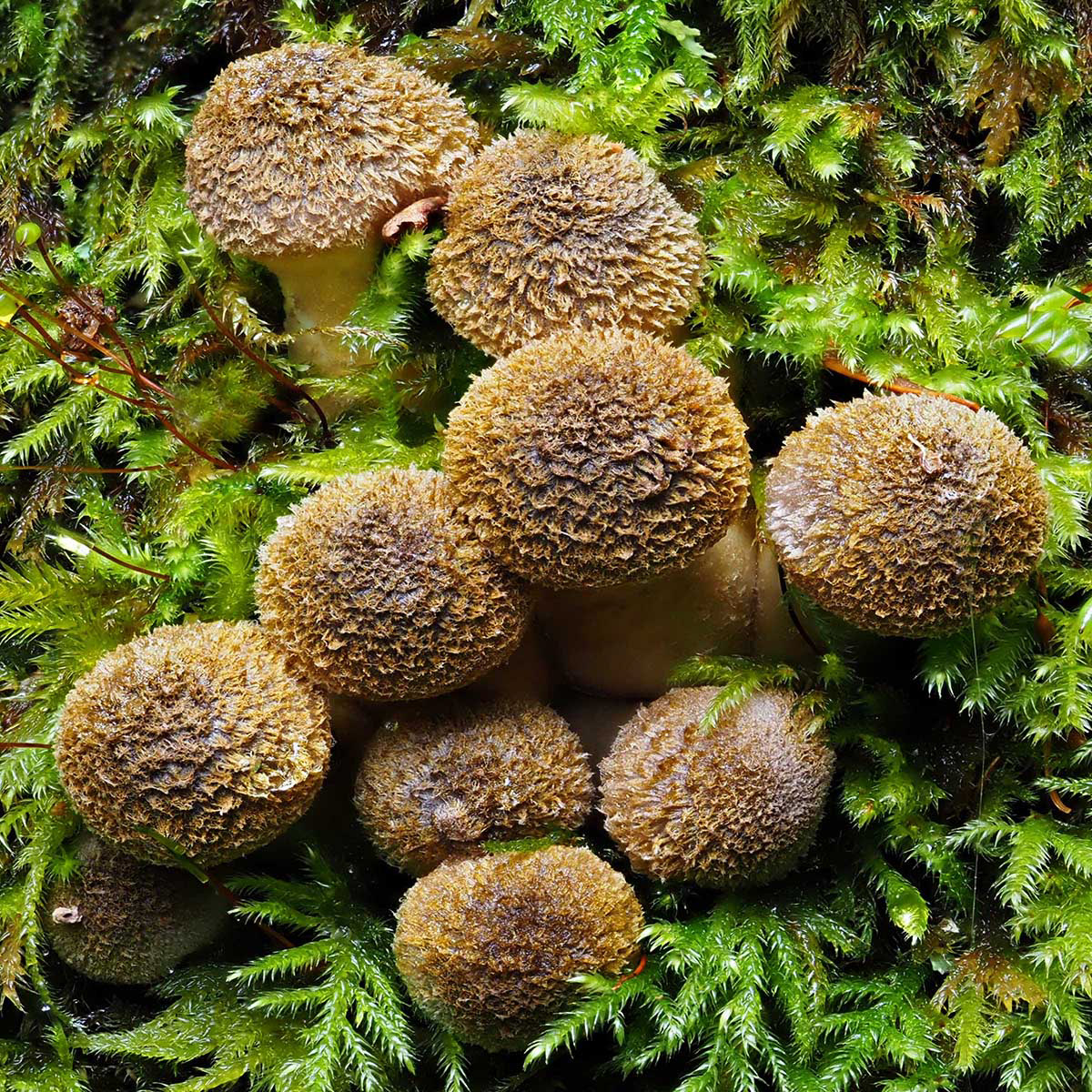 PA077280 by Viv Bowen