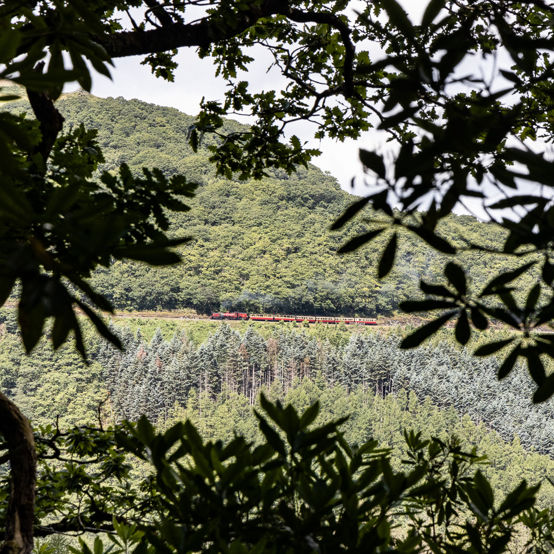 "Devil's Bridge" by Morlais Davies