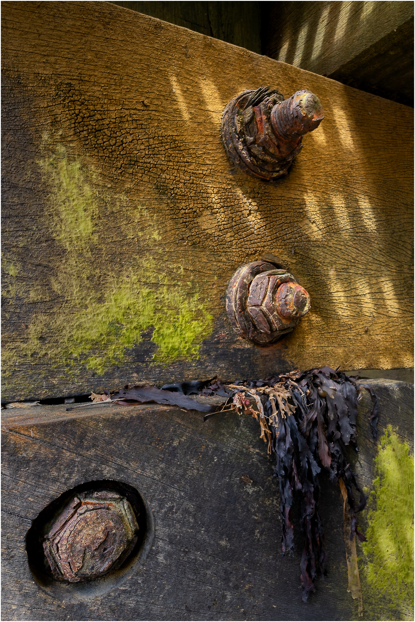 "Nuts & Bolts" by Simon Harding