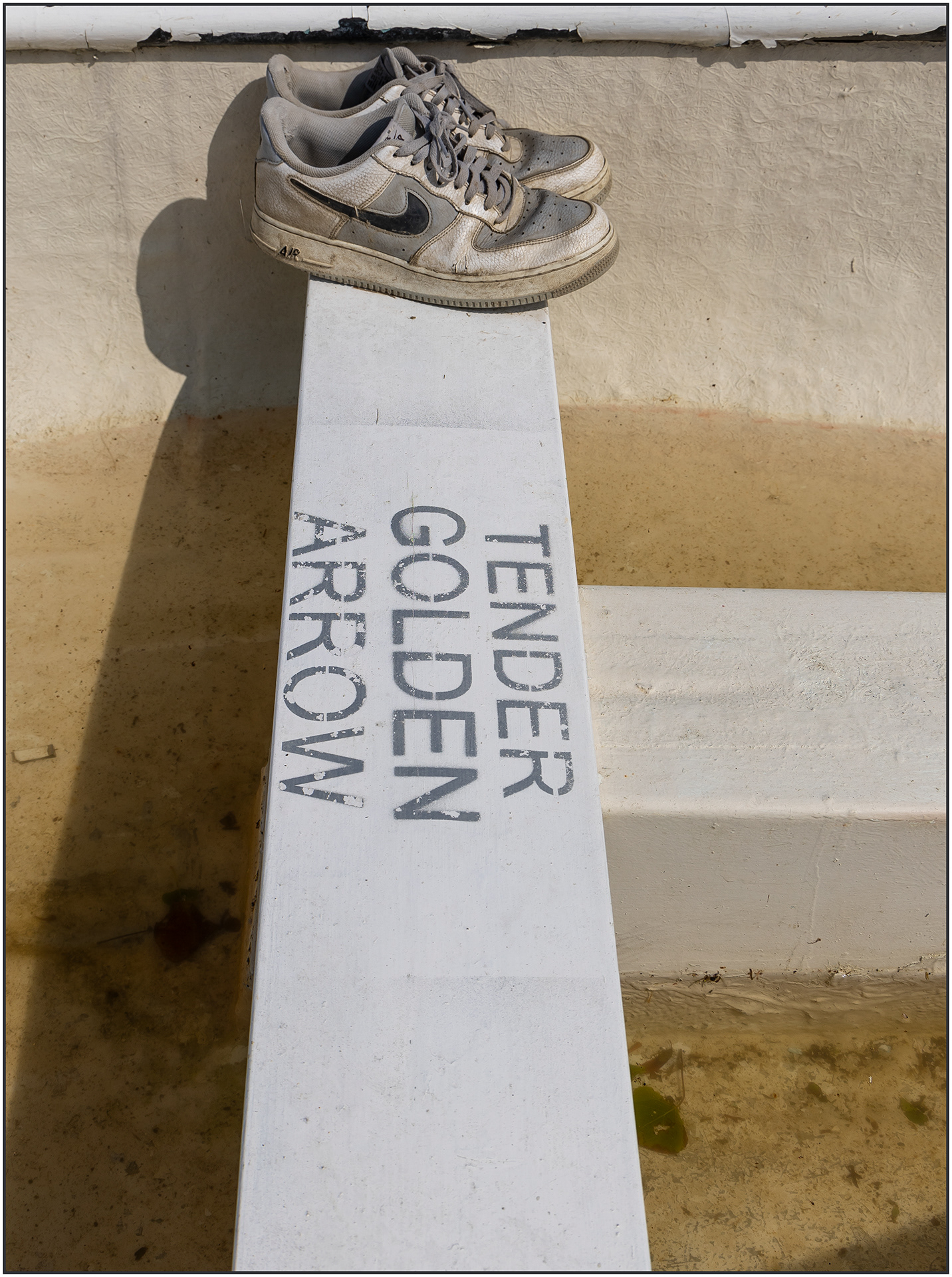 "Tender Golden Arrow" by Viv Evans