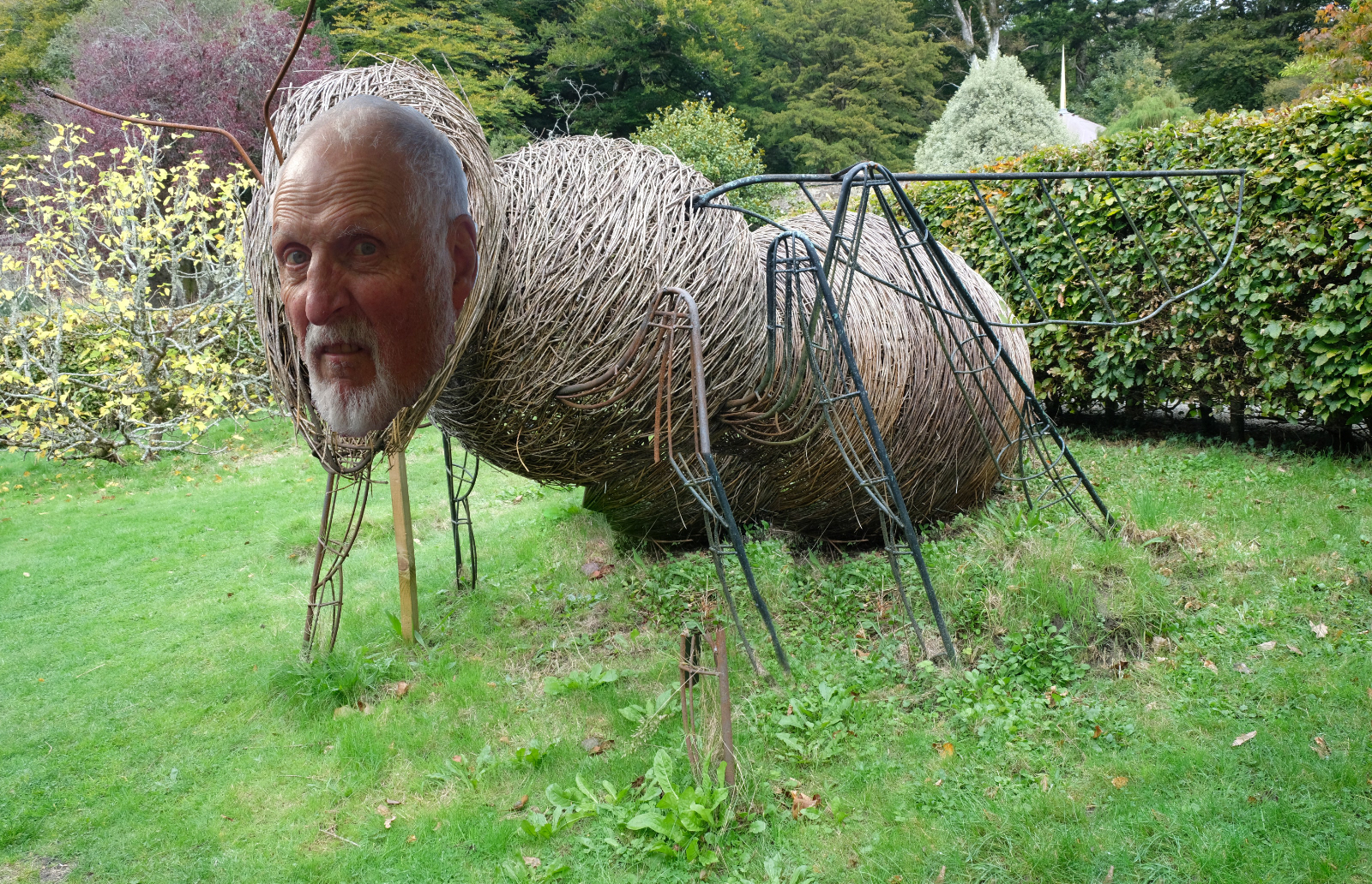 "Bee David" by Margaret Jones