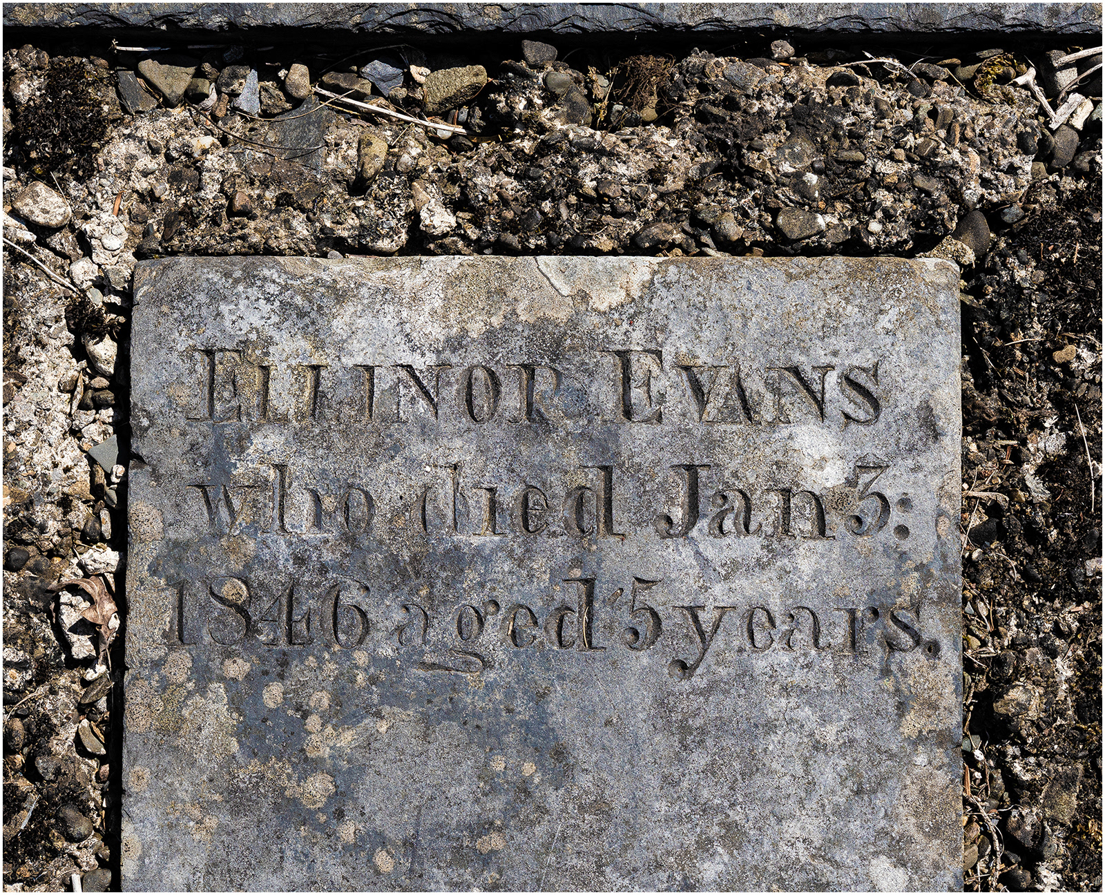 "Elinor Evans" by Viv Evans