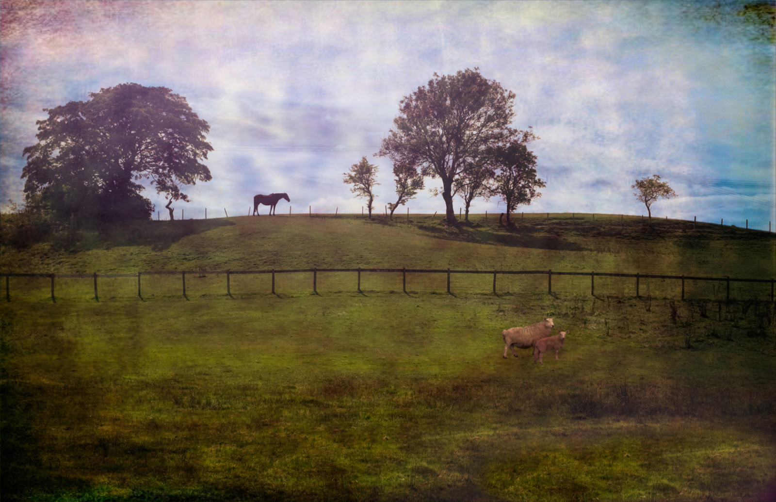 "Rural Wales" by Mike Jones