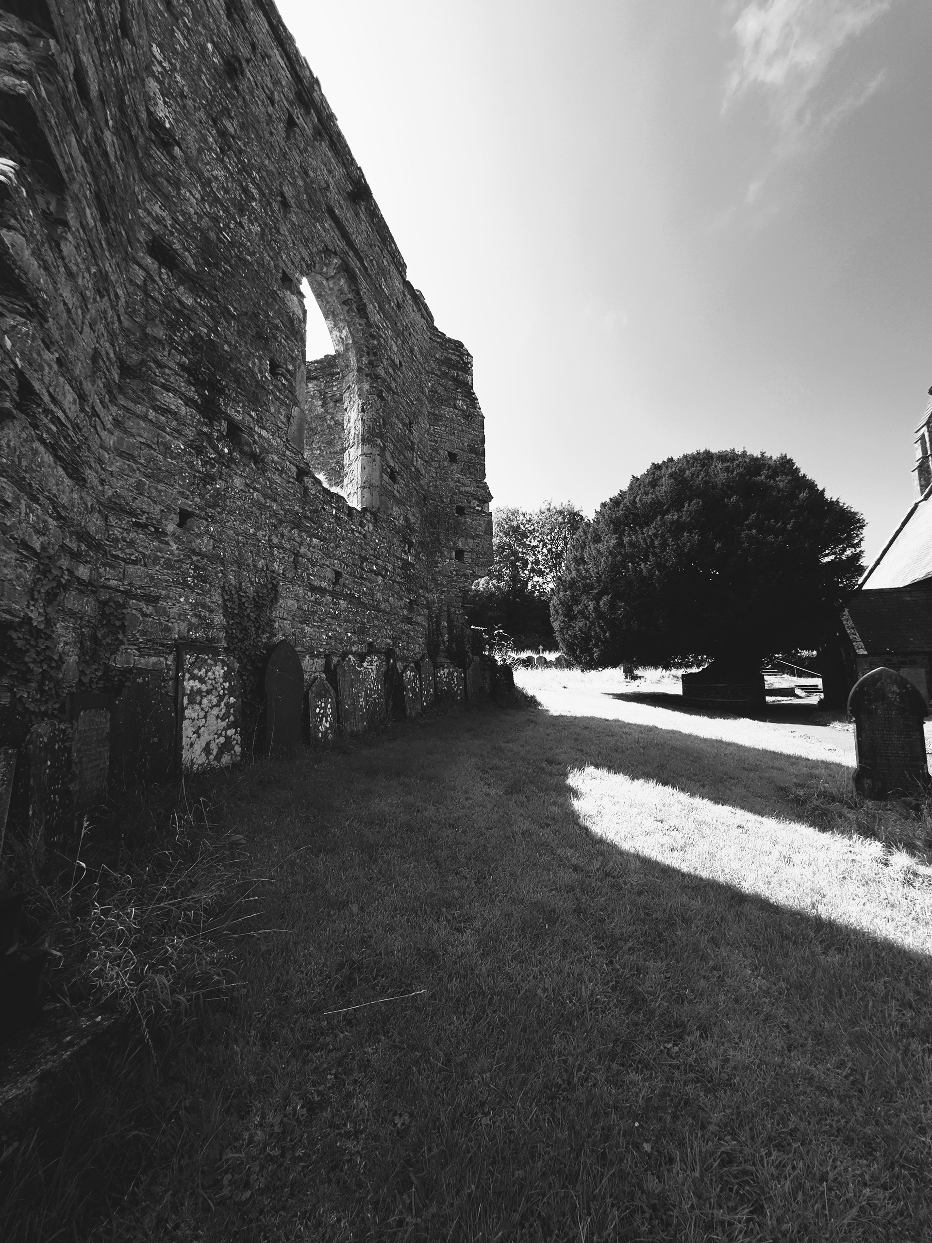 "Wall" by David Hough