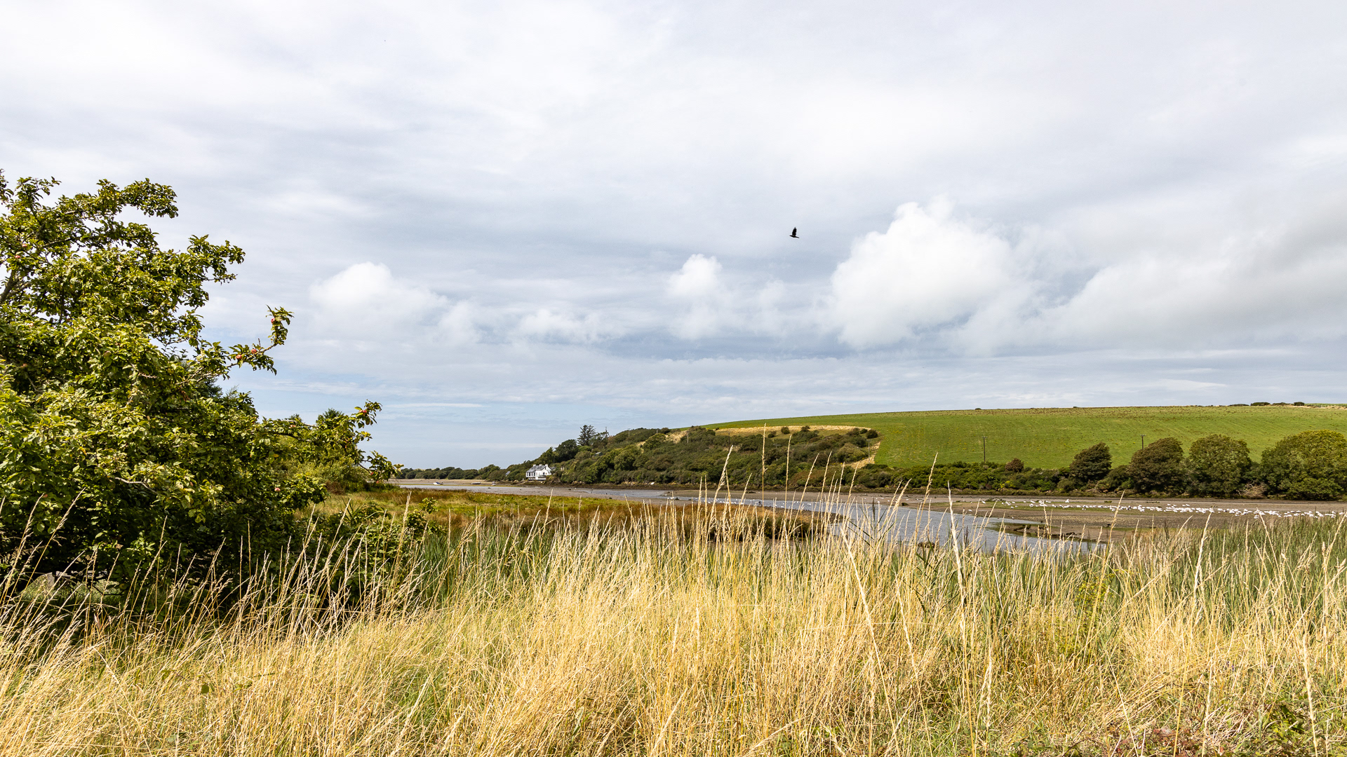 "Across the Estuary" by Morlais Davies