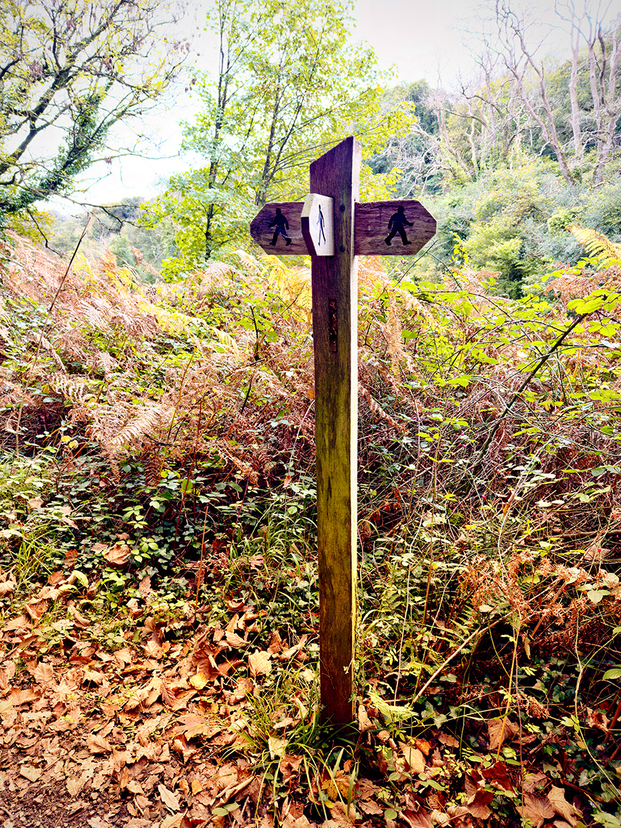 "Helpful Signpost" by David Hough
