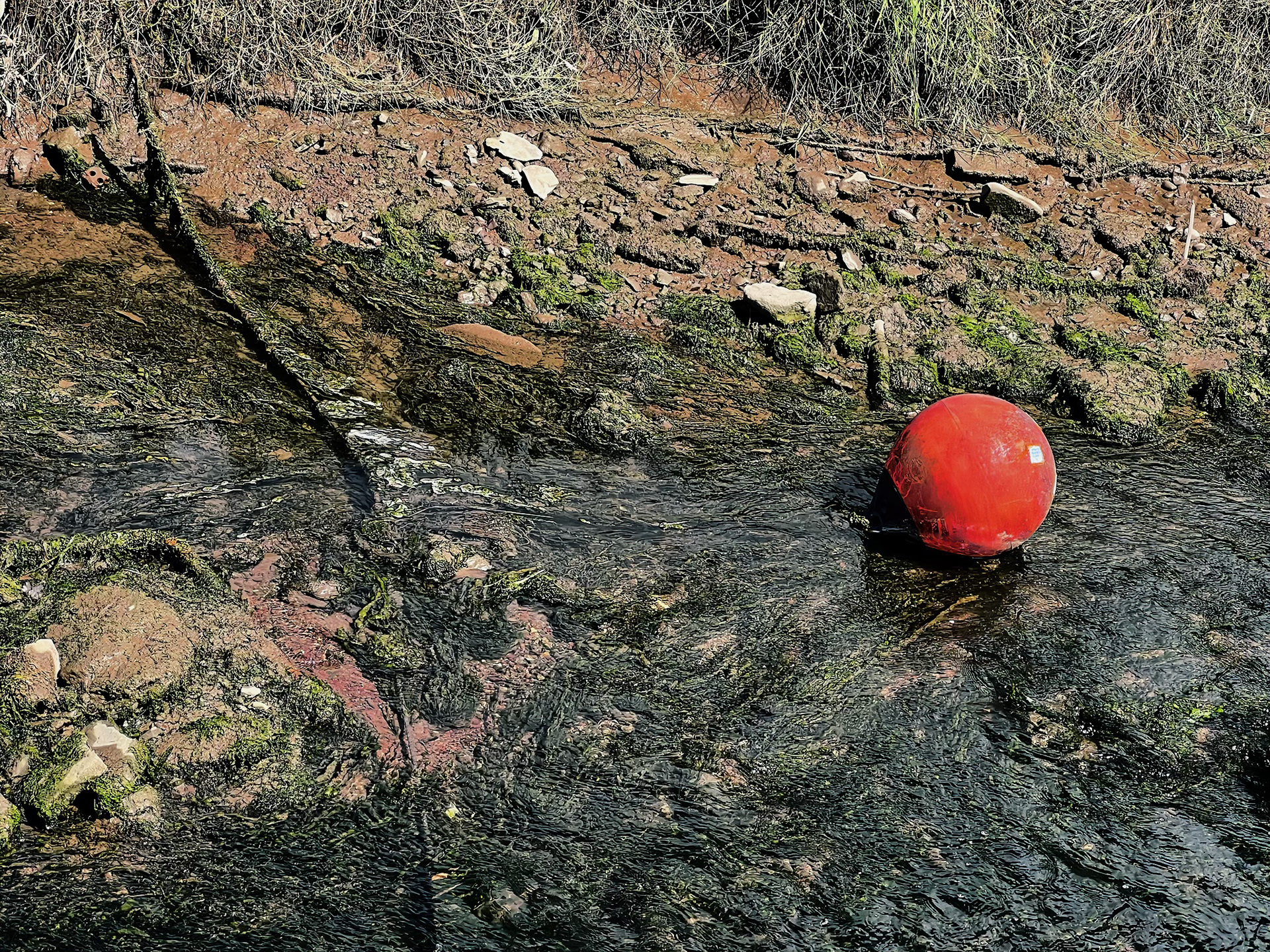 "River Bed" by Tom Parry