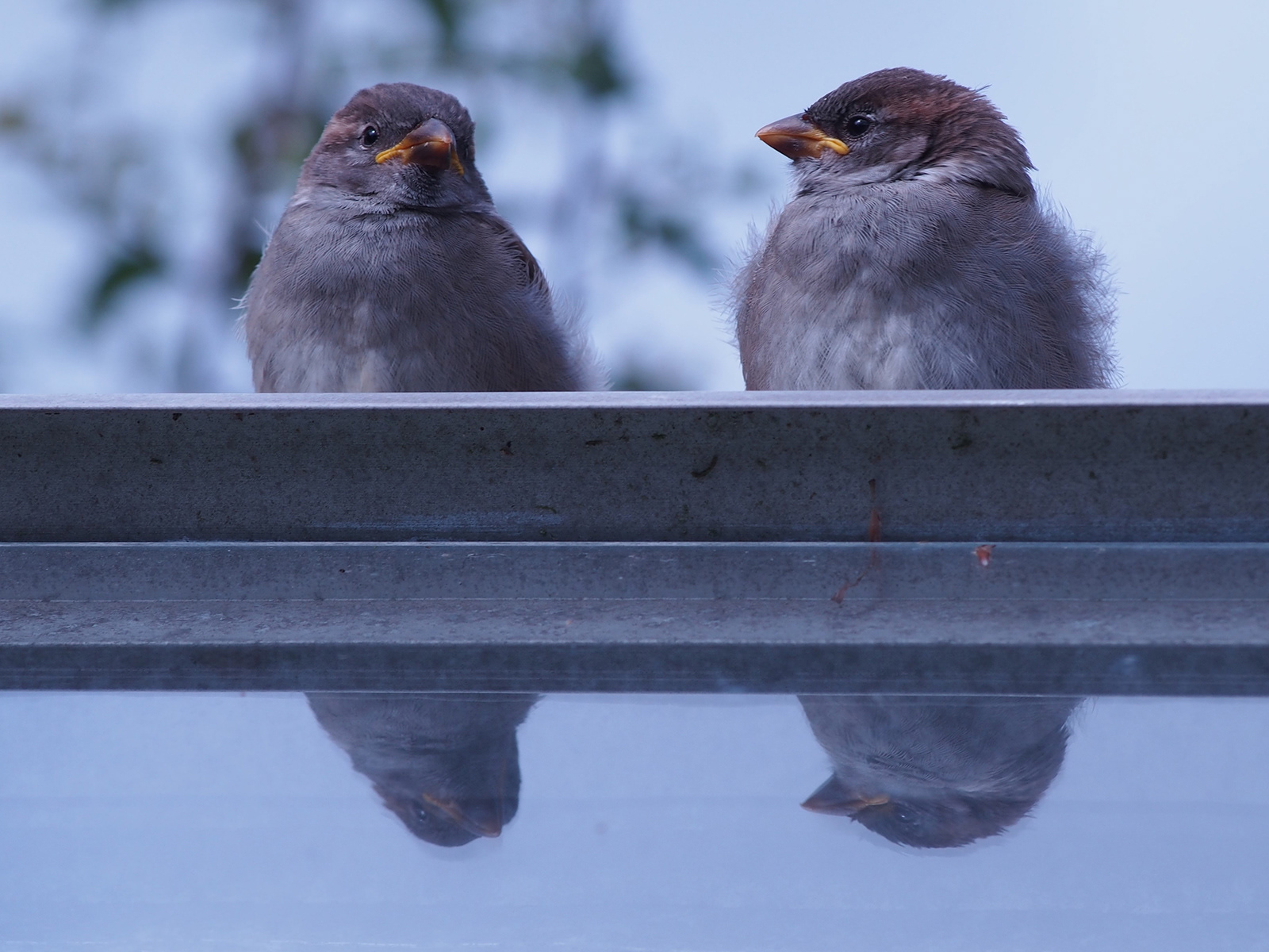 Who are you looking at?
