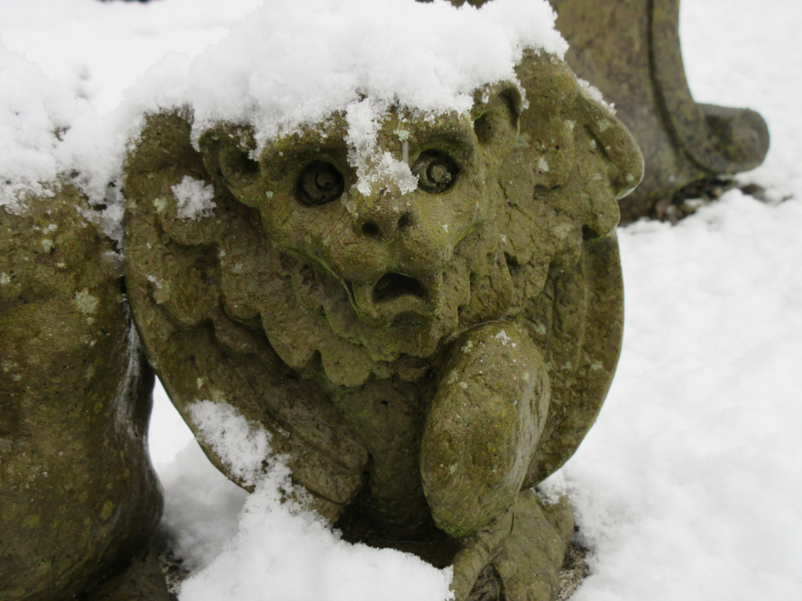 Brrrr it's cold!
