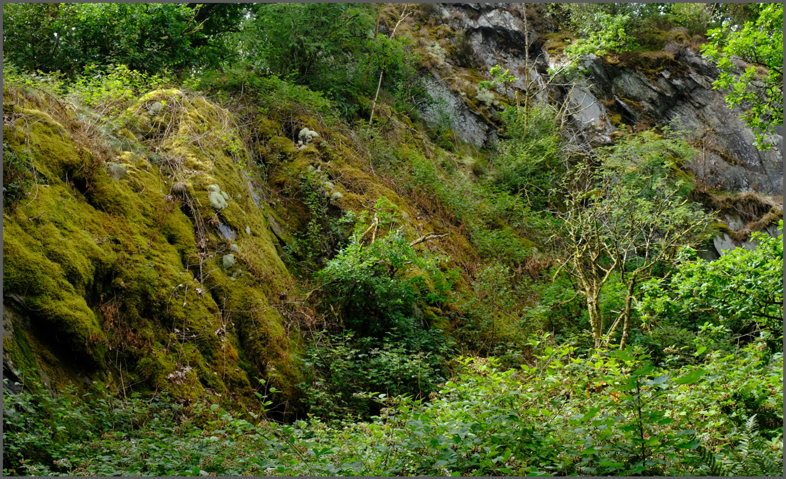 Rugged Terrain