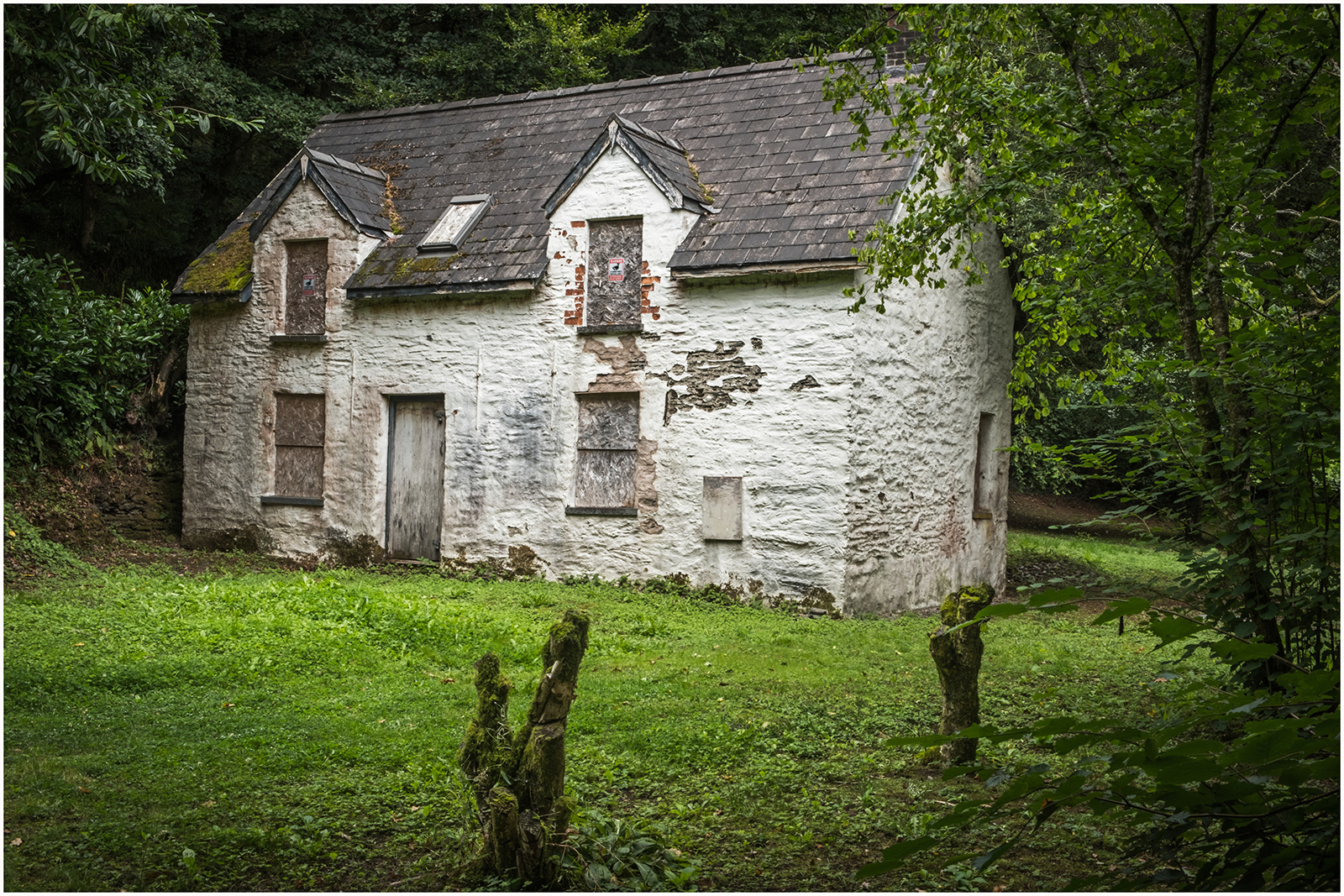 "AirBnB, 1 star" by Colin Price