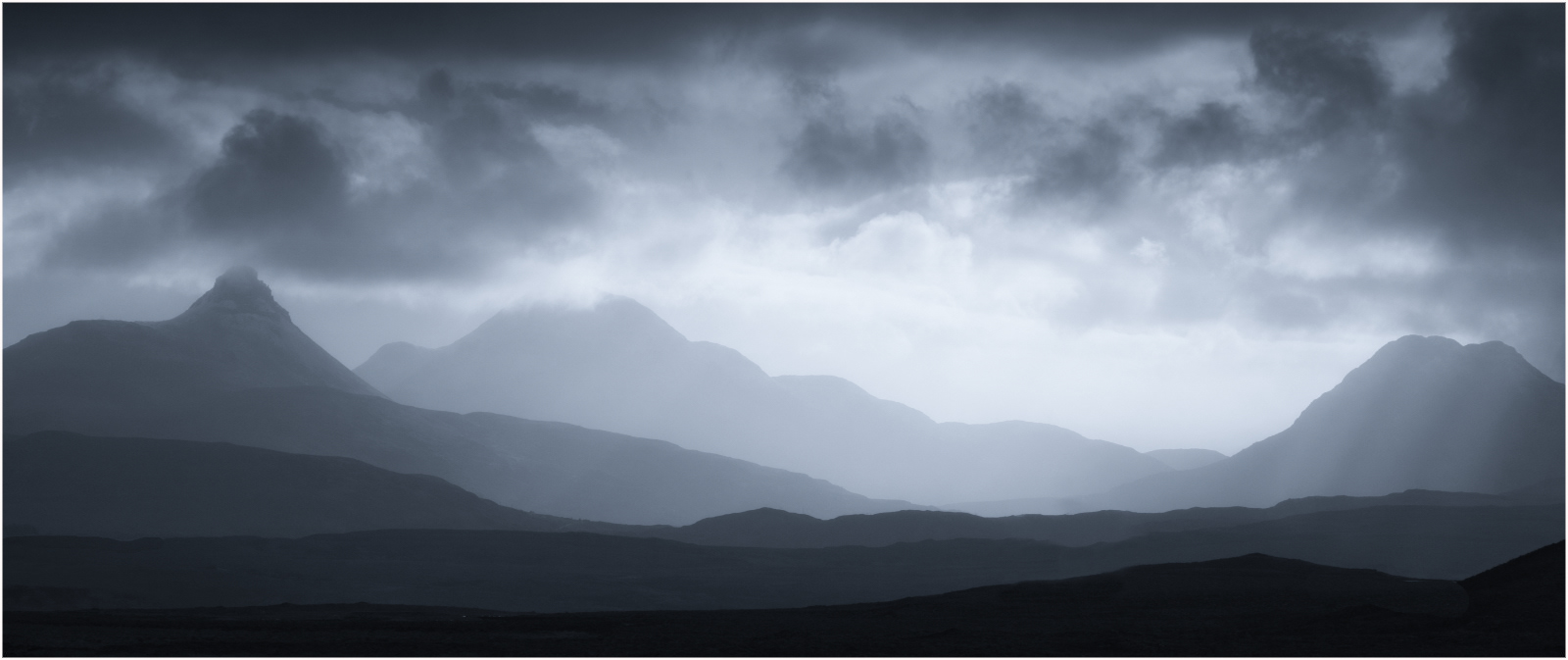 "Mood of the Wild"