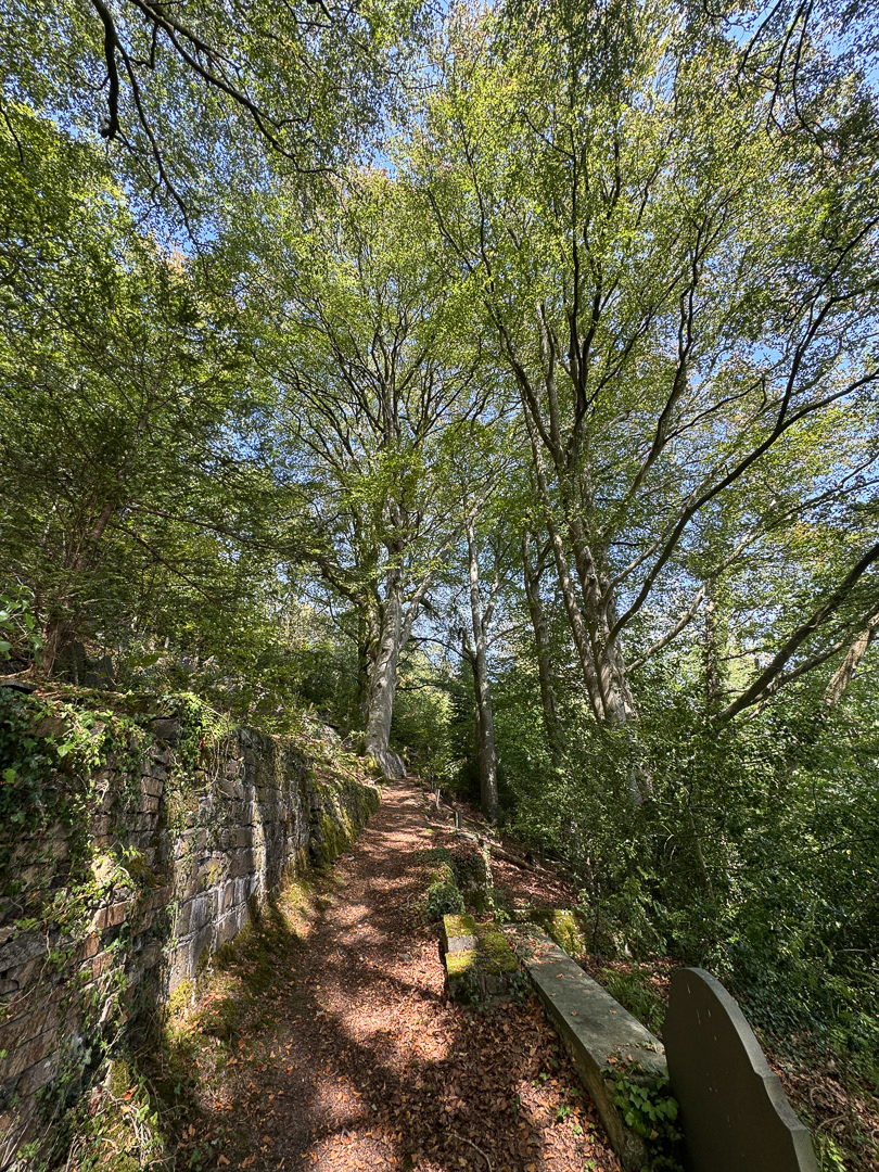 "Shaded path" by Morlais Davies
