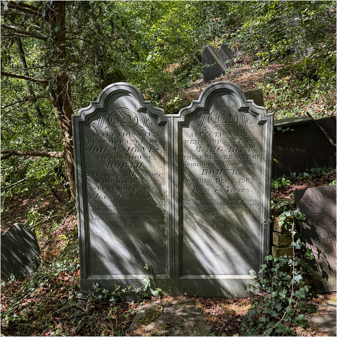 "Shaded resting place" by Morlais Davies