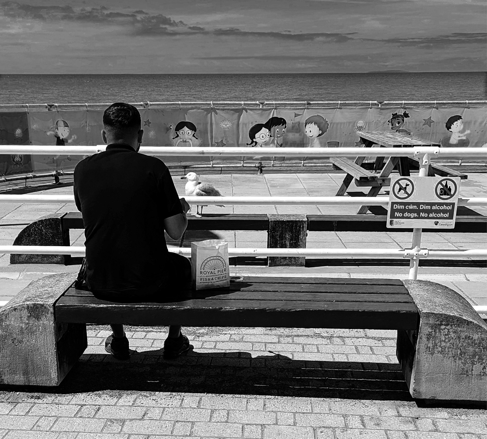 "No Seagulls B&W" by Mike Jones