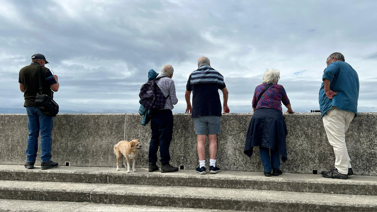 "Harbour Wall 2" by Morlais Davies