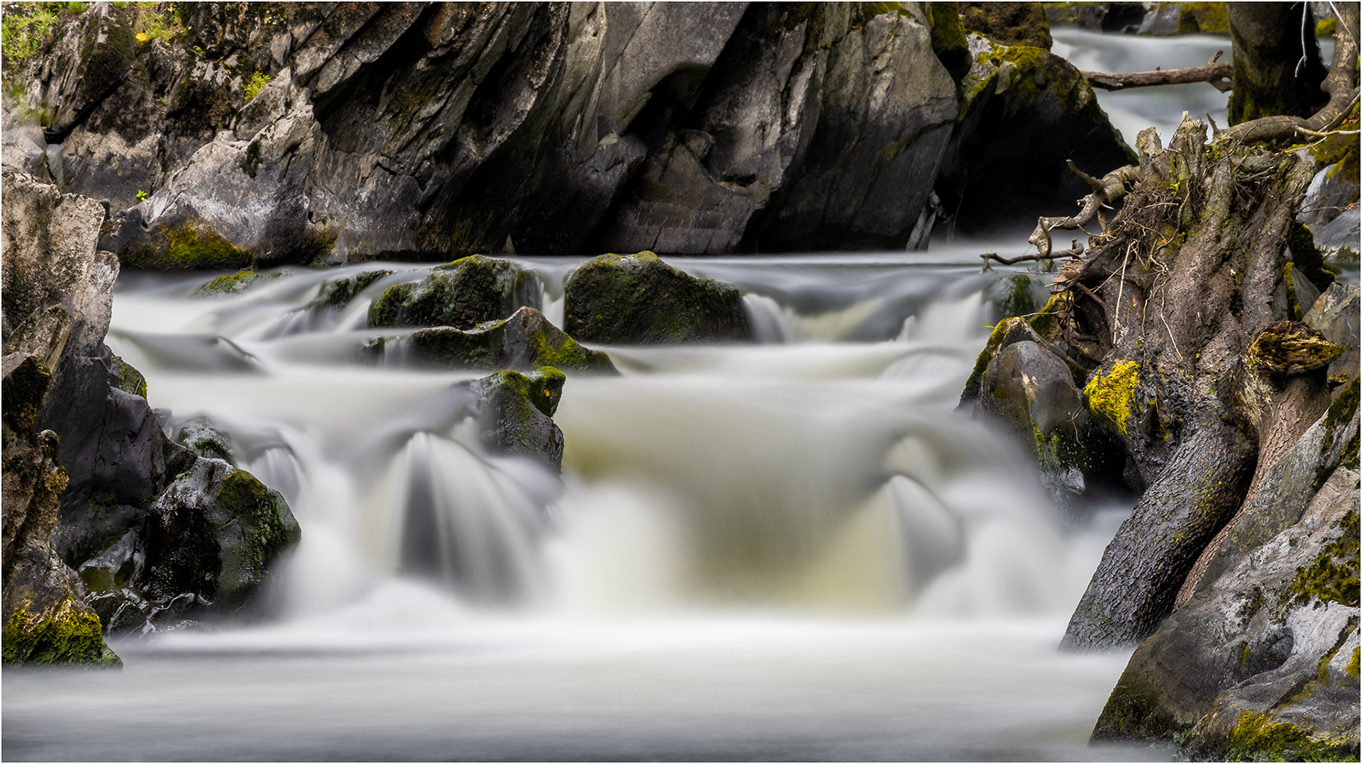 "Cenarth Falls 2" by Simon Harding