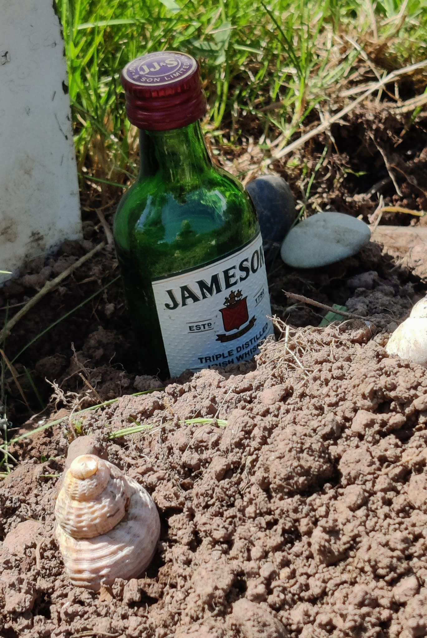 "Dylan's Tipple" by Hilary Harding