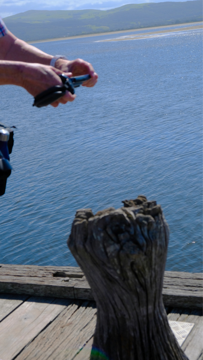 "I'm Taking That" by Margaret Jones