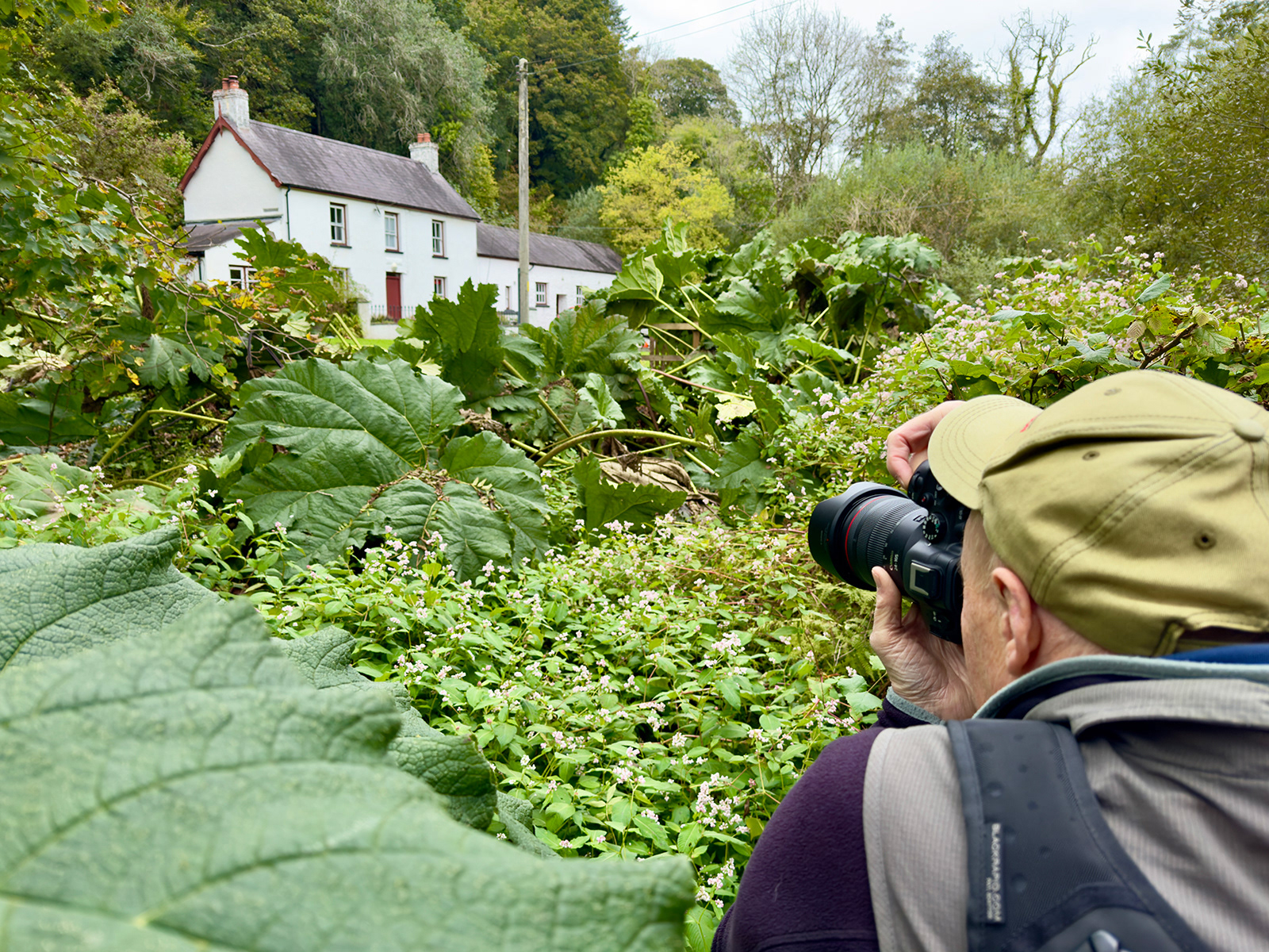 "Yoyeur" by David Hough