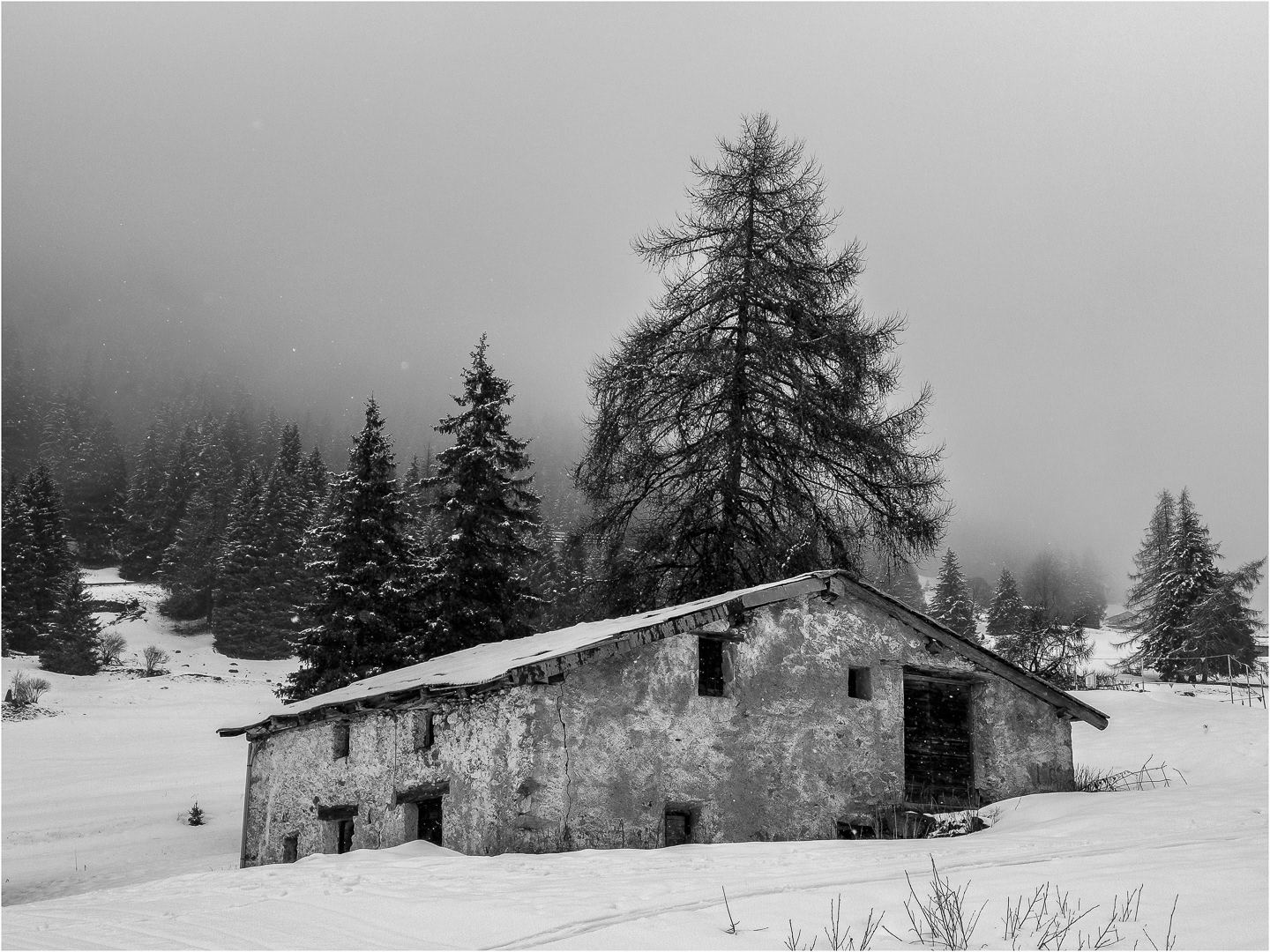 Alpine shelter (Morlais Davies) 18 points