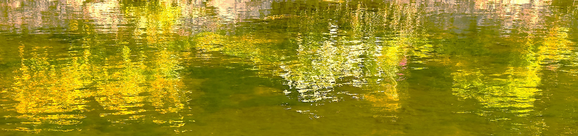 "Claude Monet (aged 7)" by David Hough