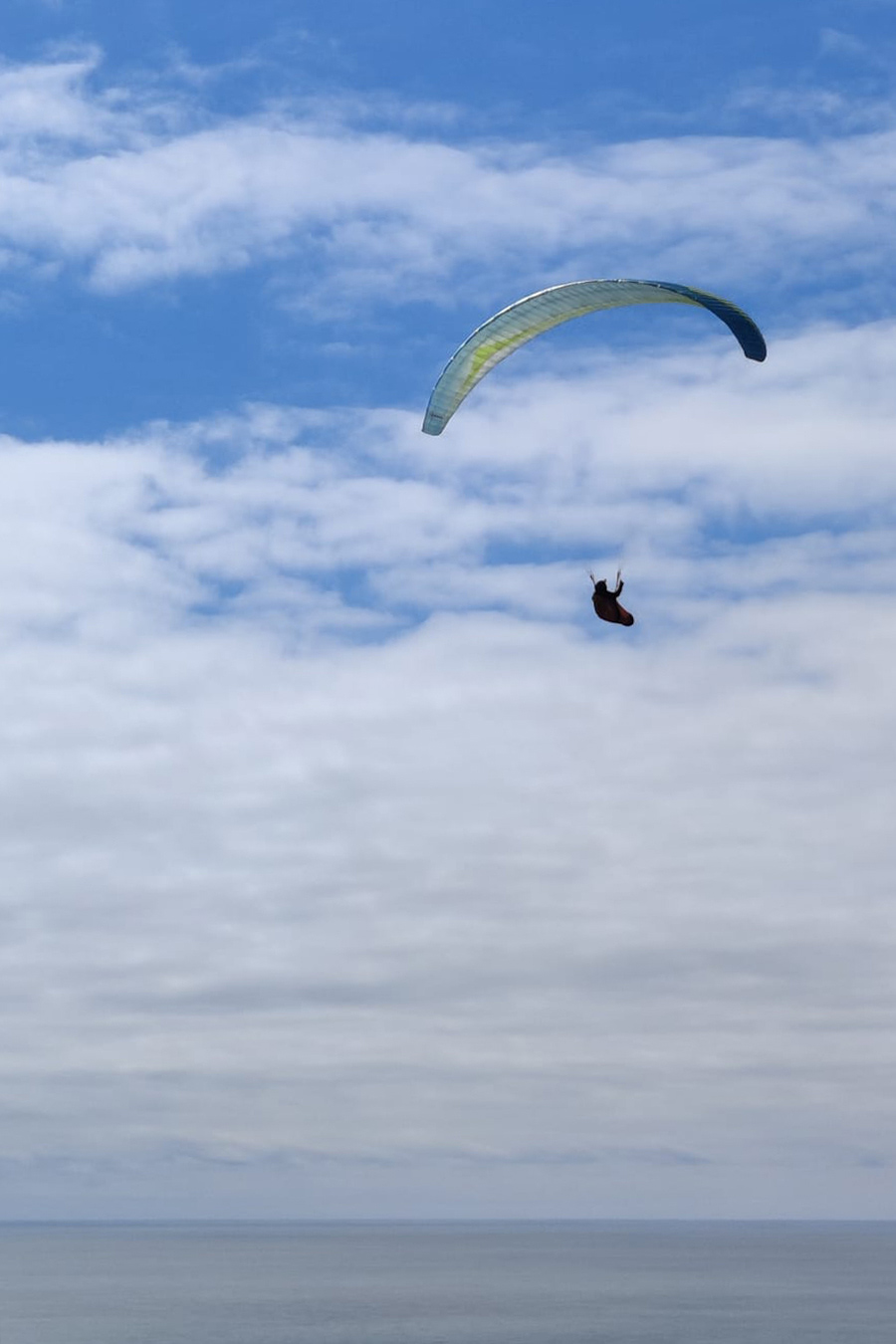 "Flying High" by Hilary Harding