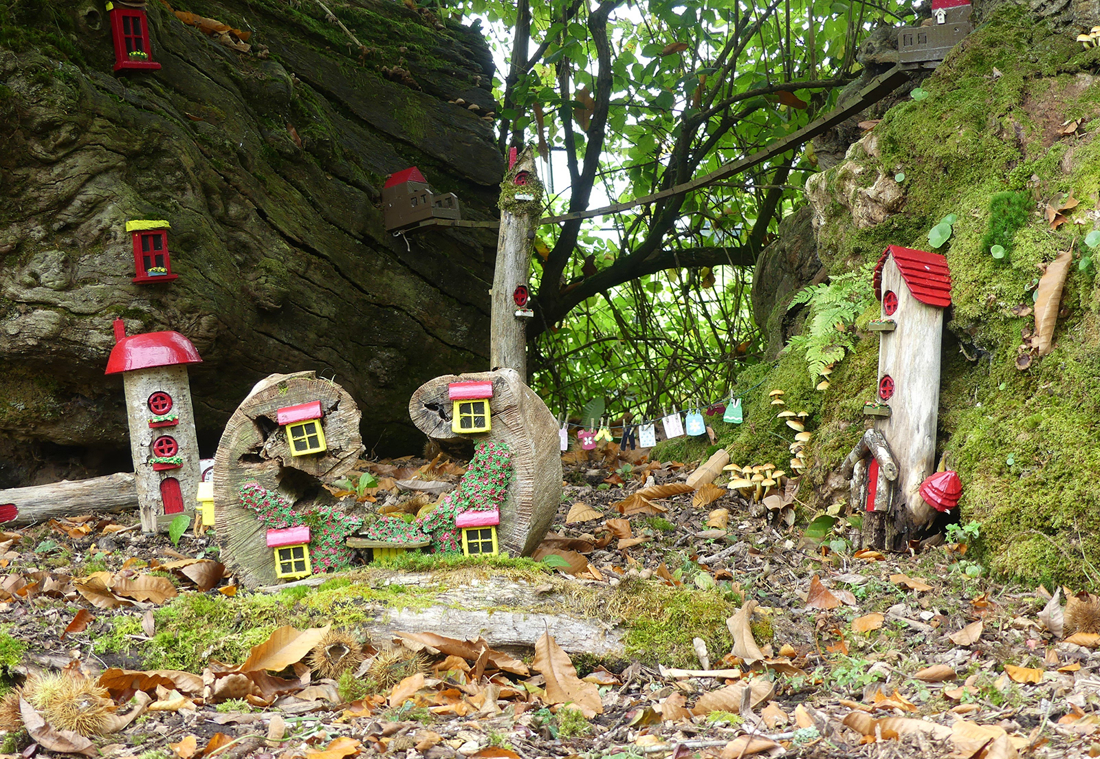 "Fairy Village" by Trudy Davies