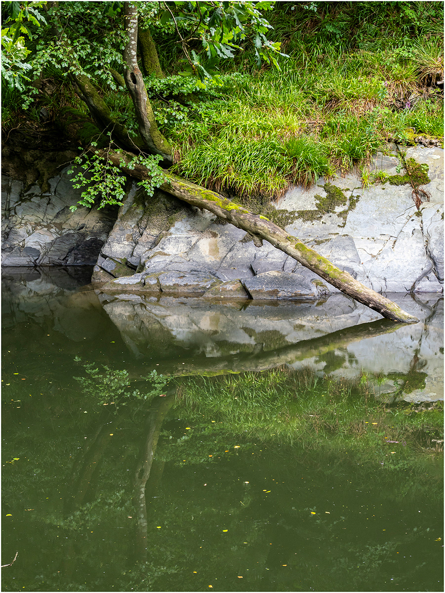 "Reflection 1" by Viv Evans