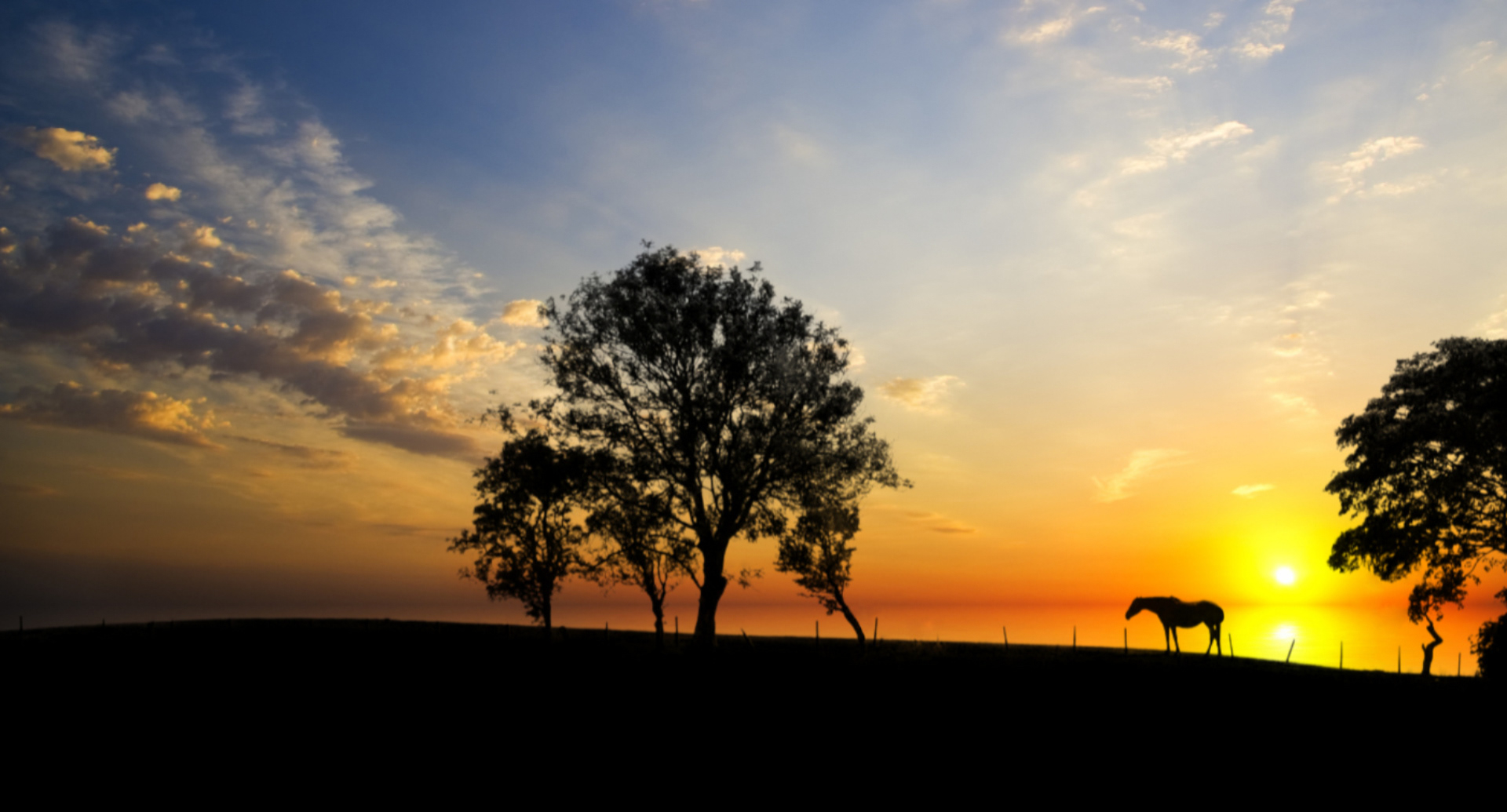 Alone at Sunset