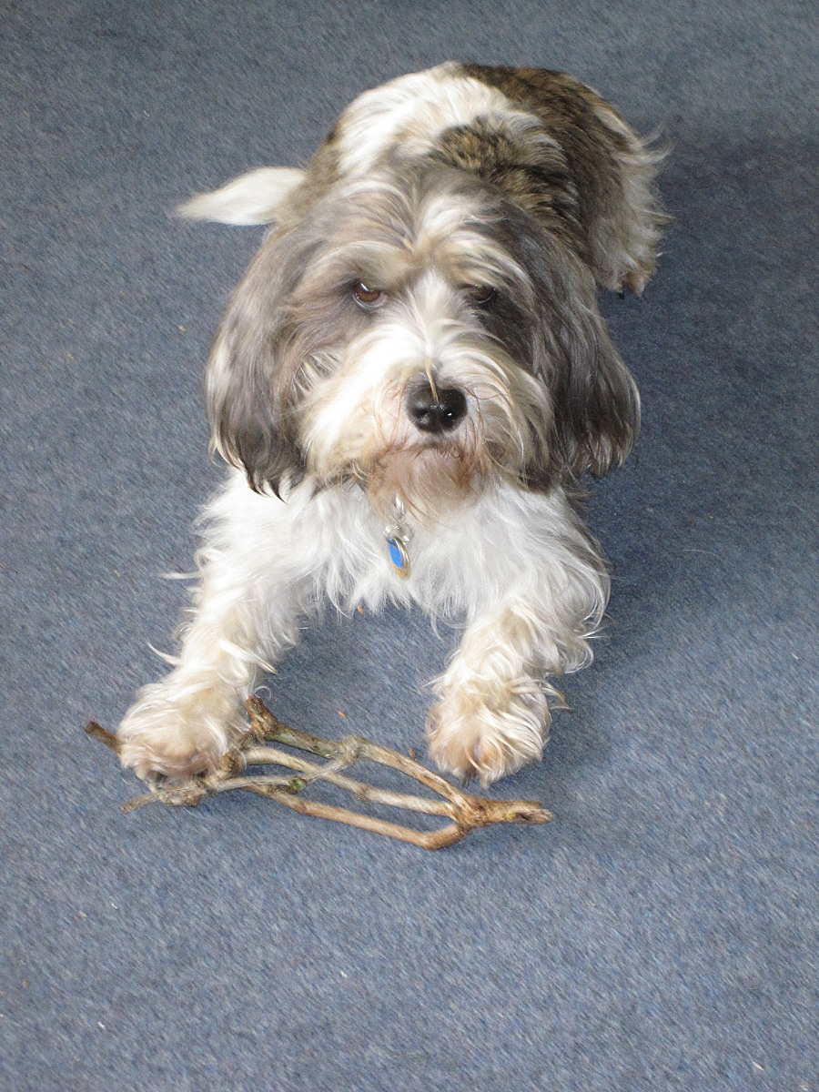 Call this a bone?