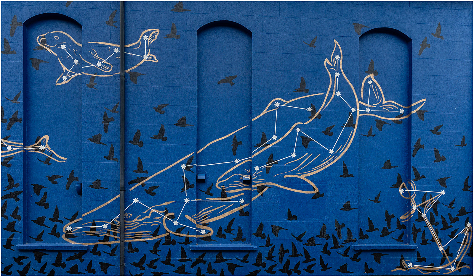 "Cetus and calf" by Viv Evans