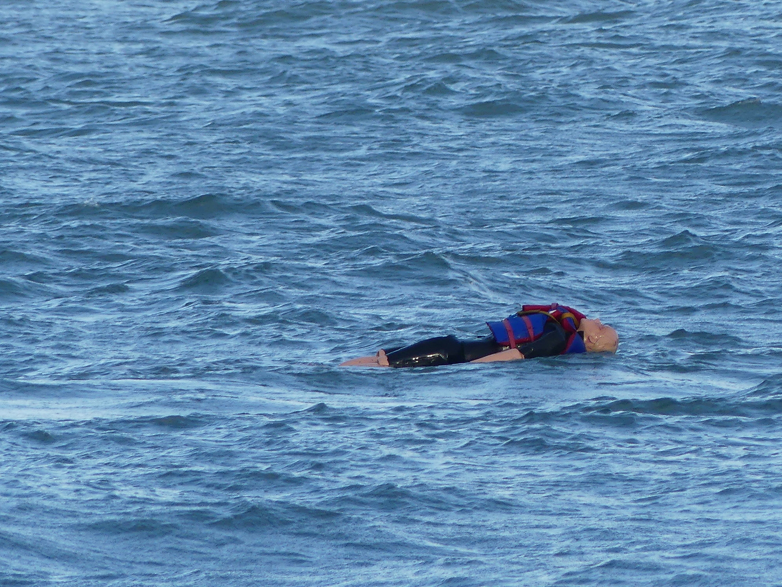 P1010360 by Trudy Davies