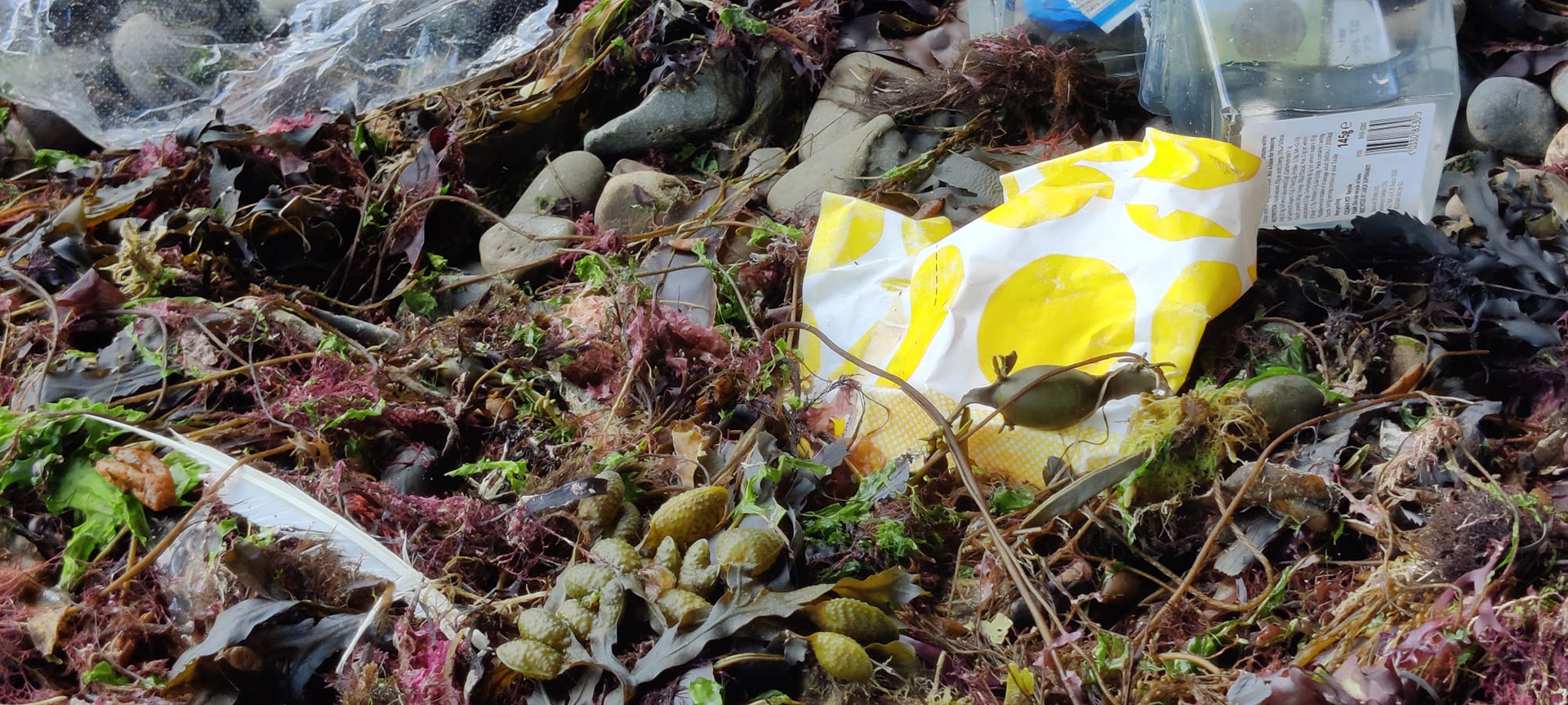 "Sbwriel ar y traeth" by Hilary Harding