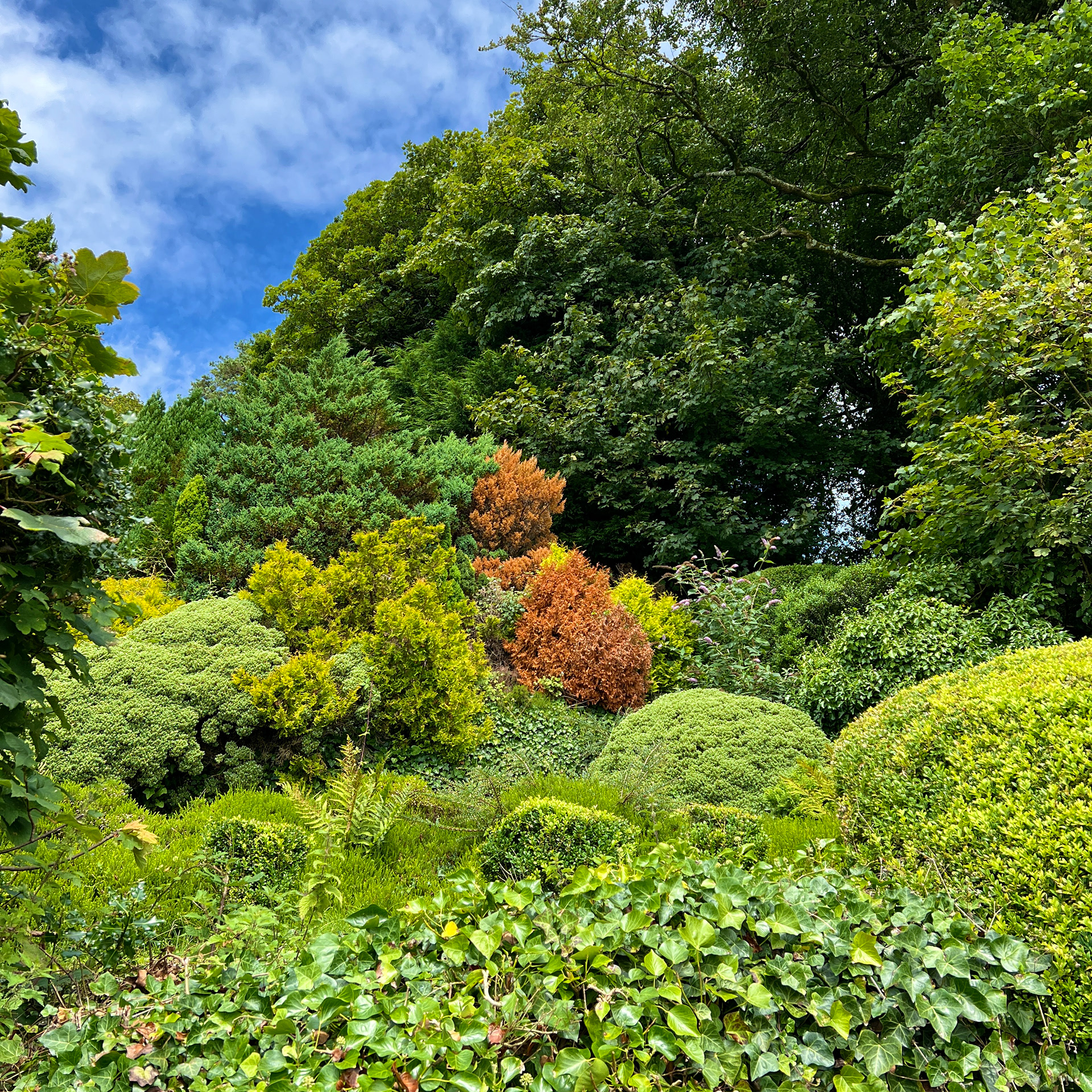 IMG_2108 by Morlais Davies