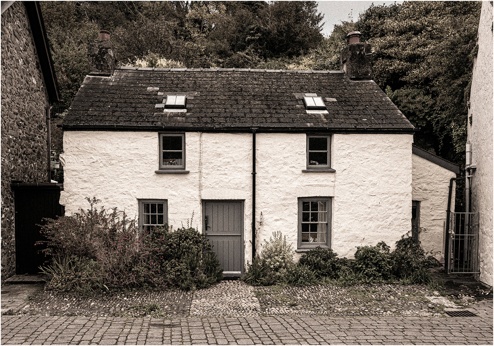 "Ty Twt" by Viv Evans