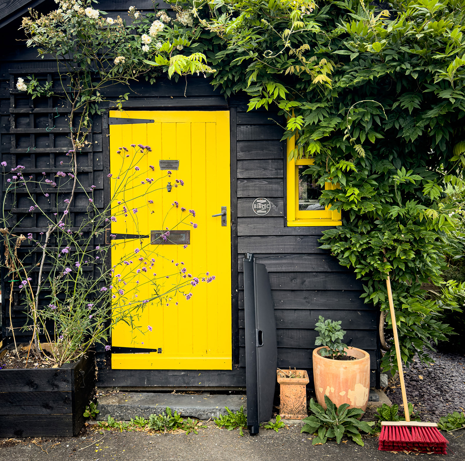 "Mellow Yellow 2" by Gareth Parry