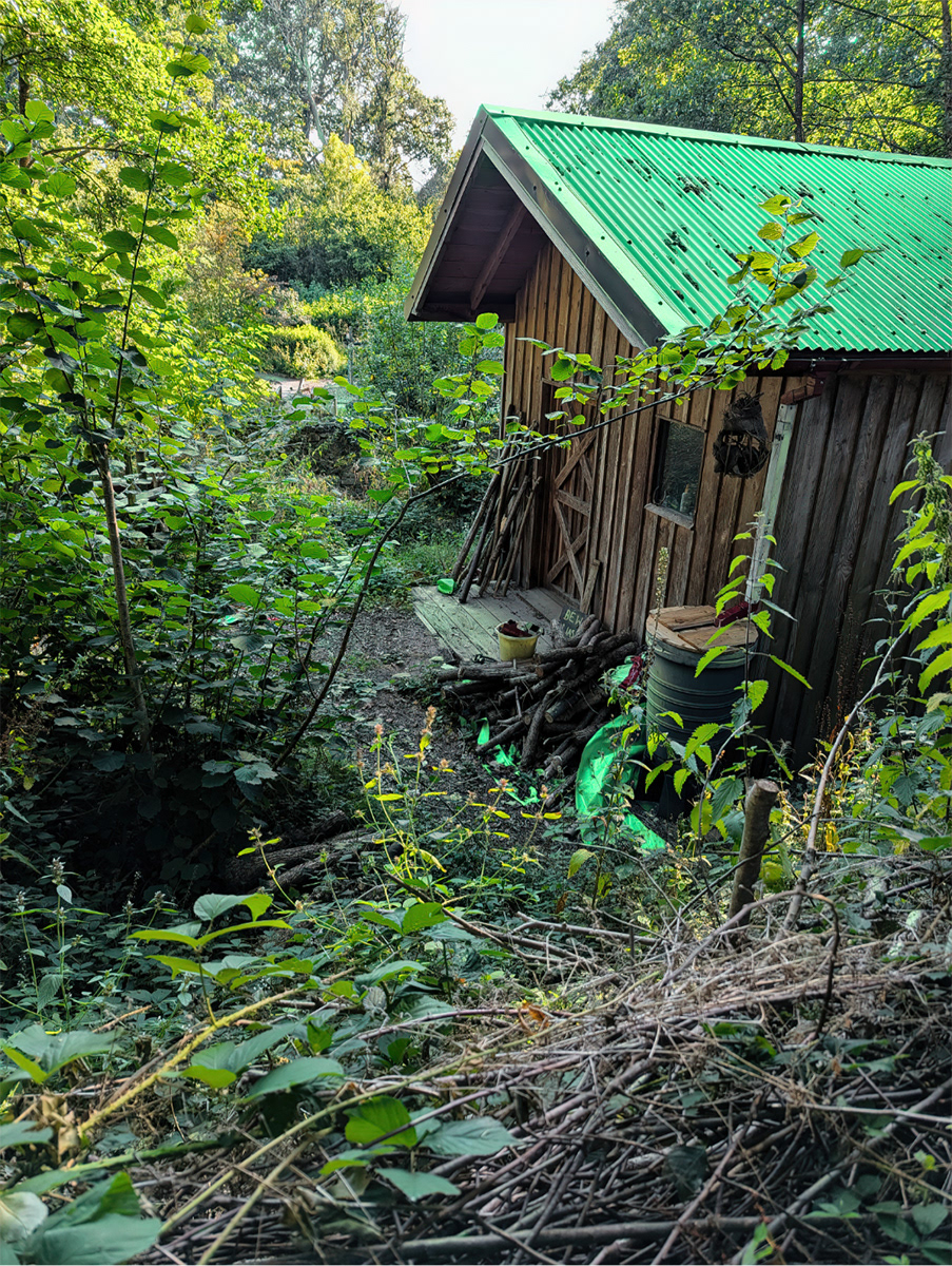 "The Garden Shed" by Mike Jones