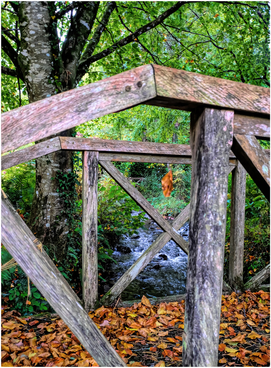 "Suspended" by Margaret Jones