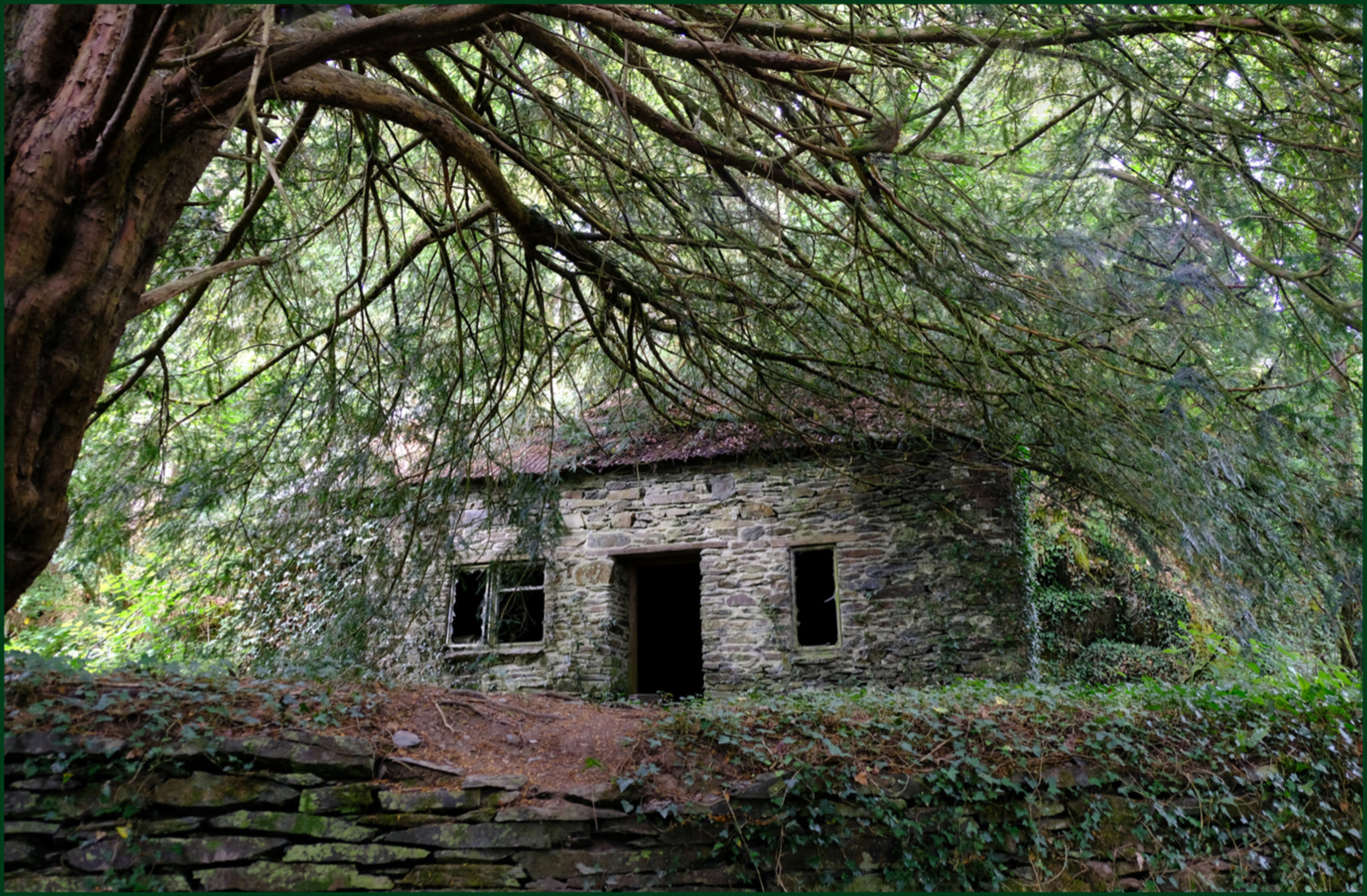 Derelict Cottage in the Trees
