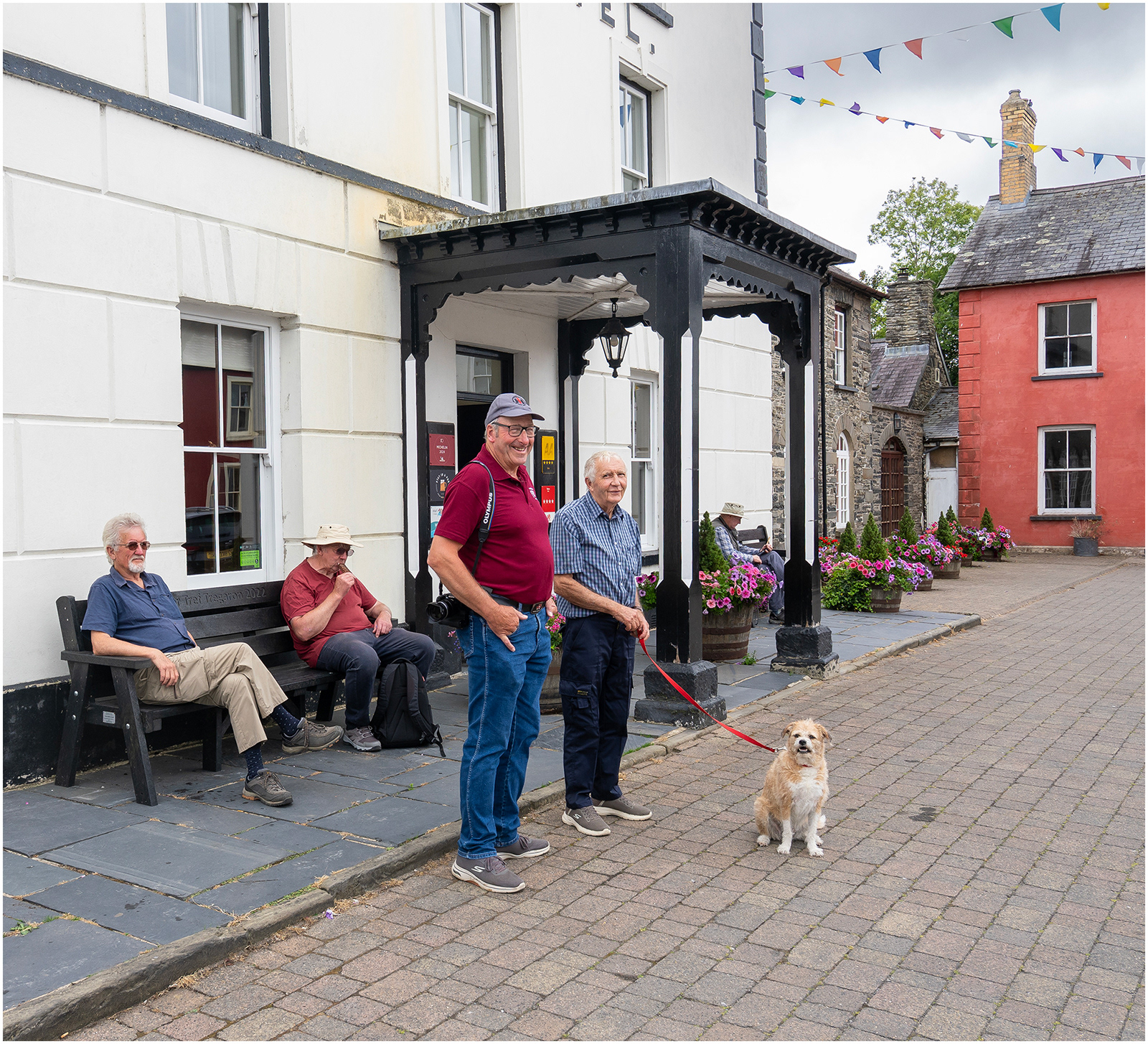 "Mutt and pals" by Viv Evans