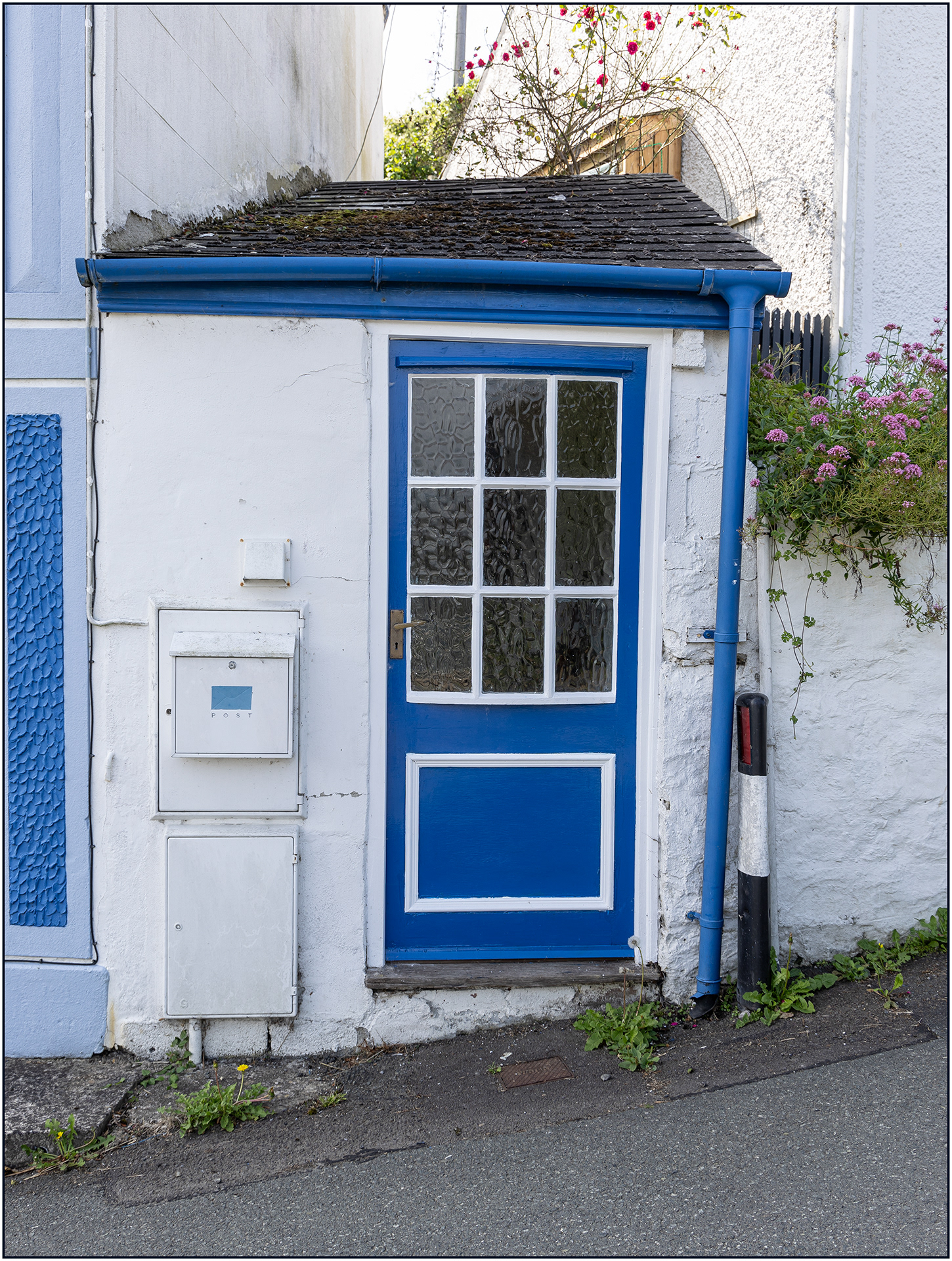 "St Dogs porch" by Viv Evans
