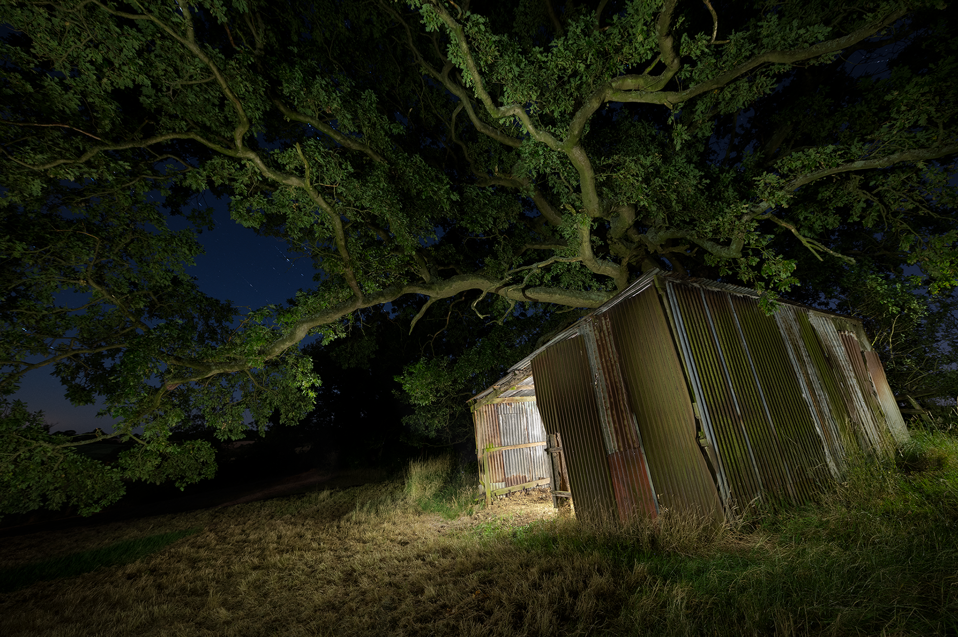 Party Night at the Cowshed