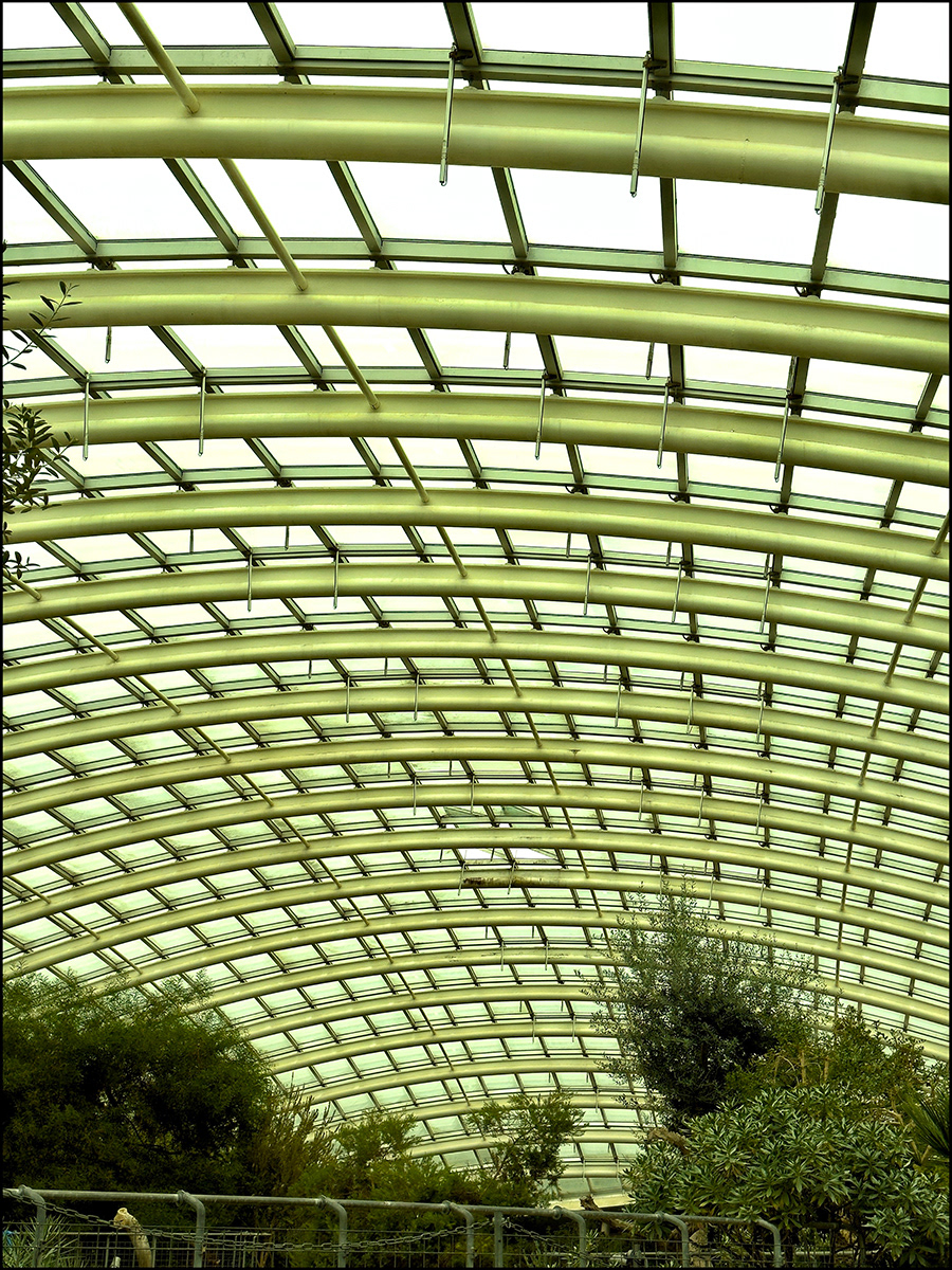 "Greenhouse1" by David Hough