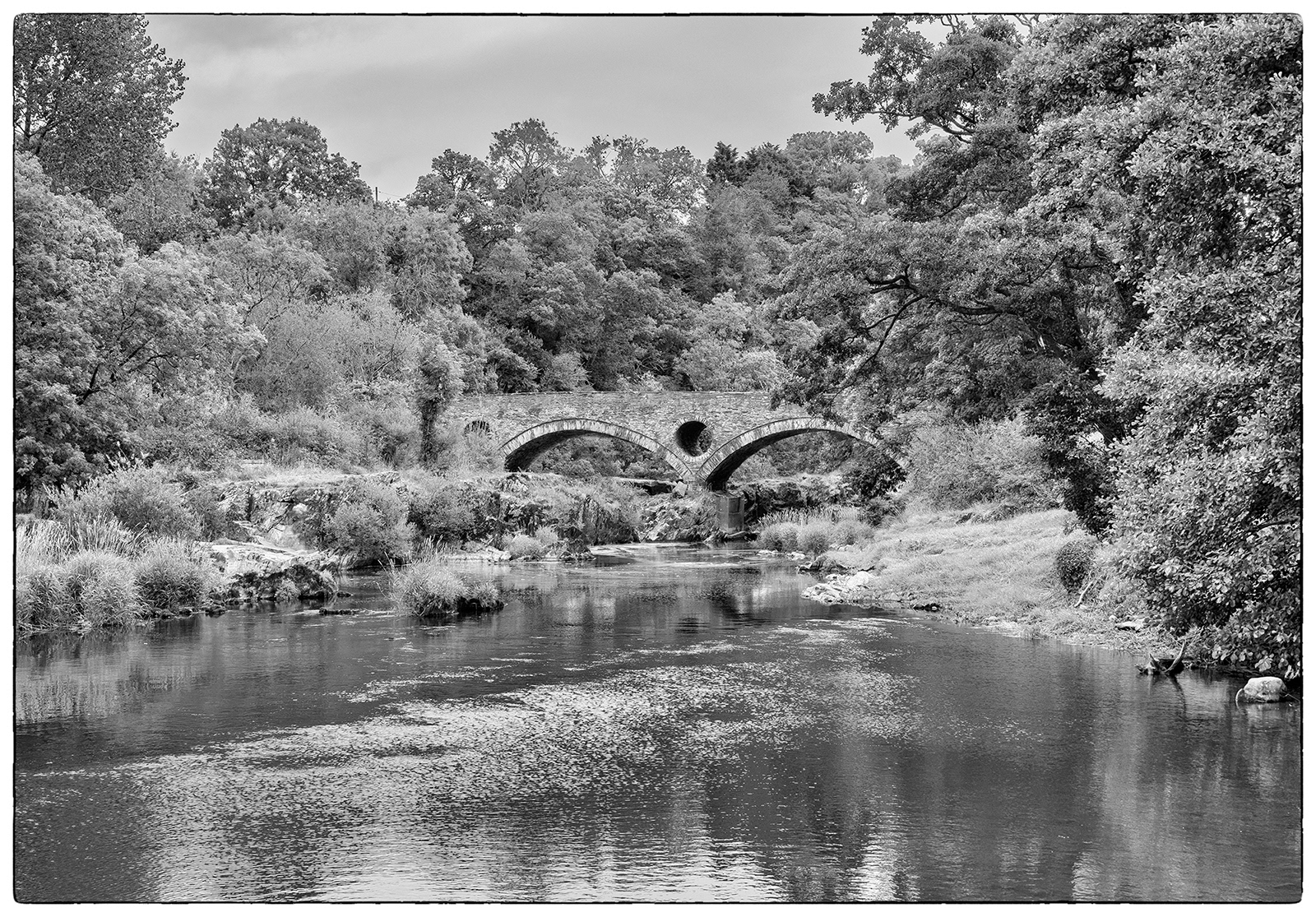 "Pont Cenarth" by Viv Evans
