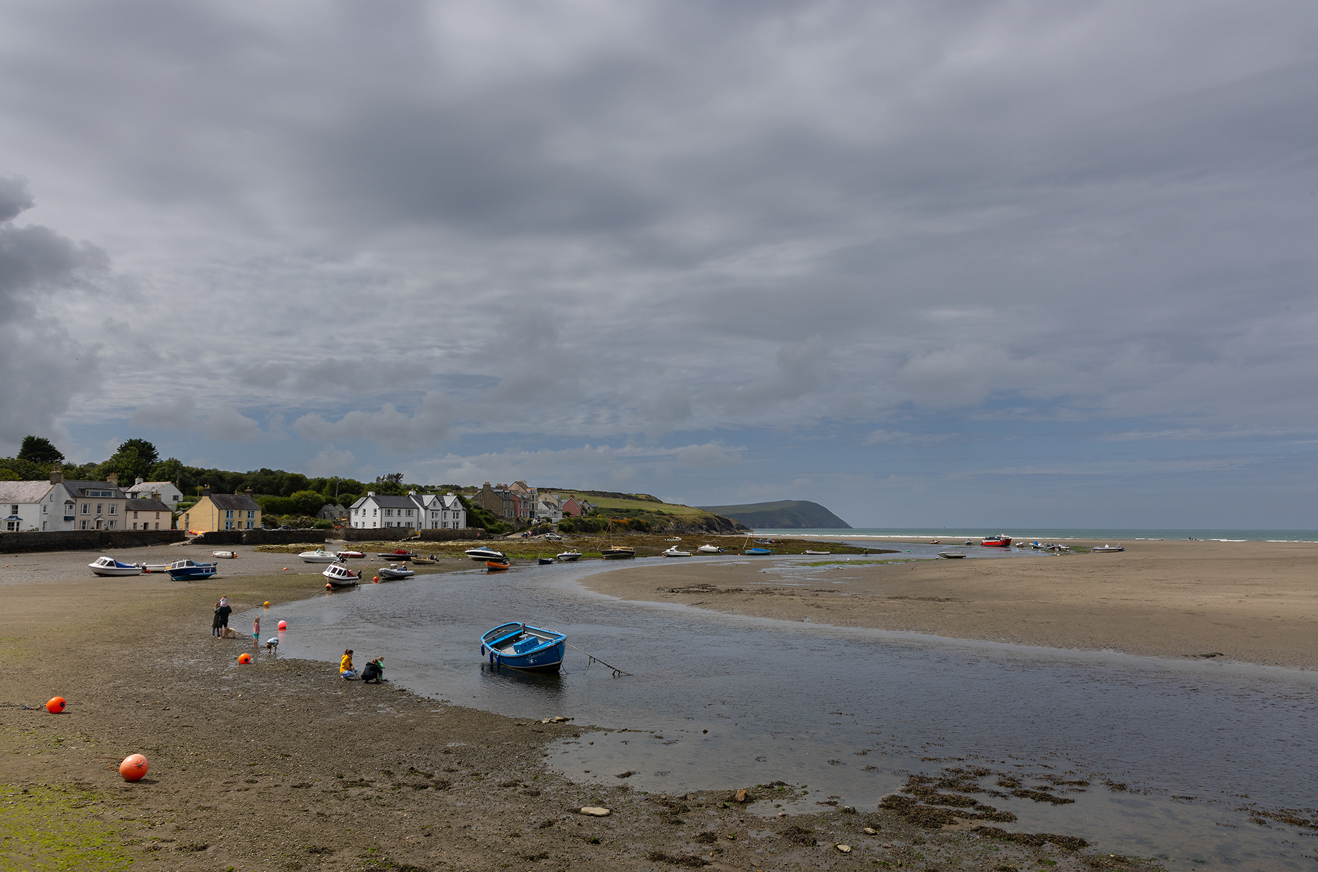 "Parrog 3" by Viv Evans