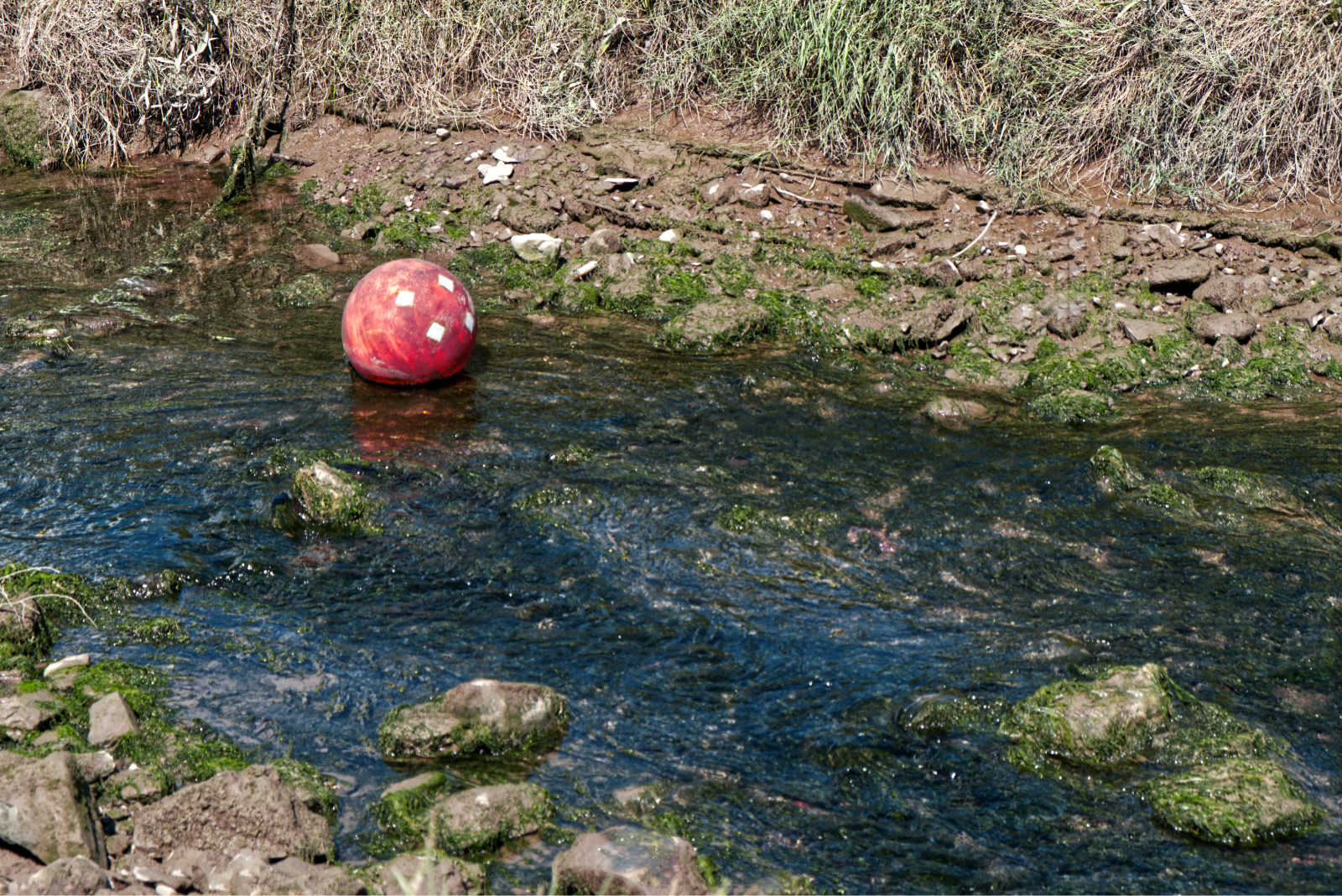"Red Buoy" by Margaret Jones