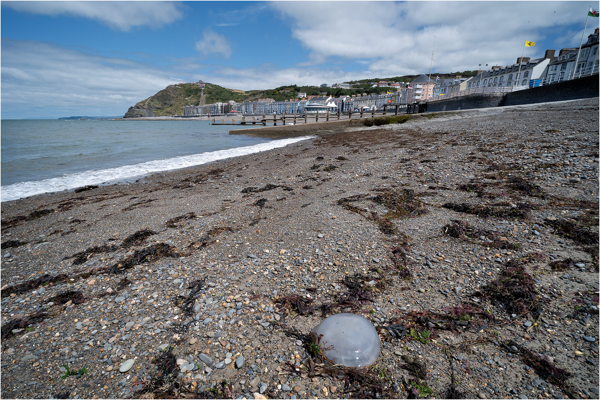"Jelly on the Beach" by Simon Harding